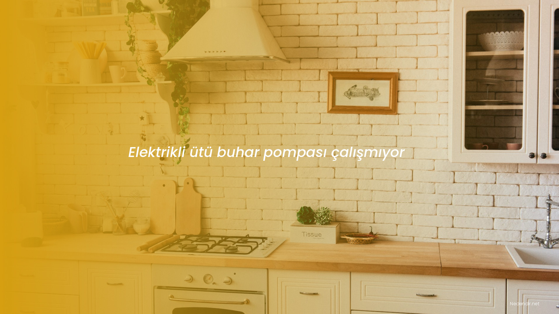 Elektrikli ütü buhar pompası çalışmıyor