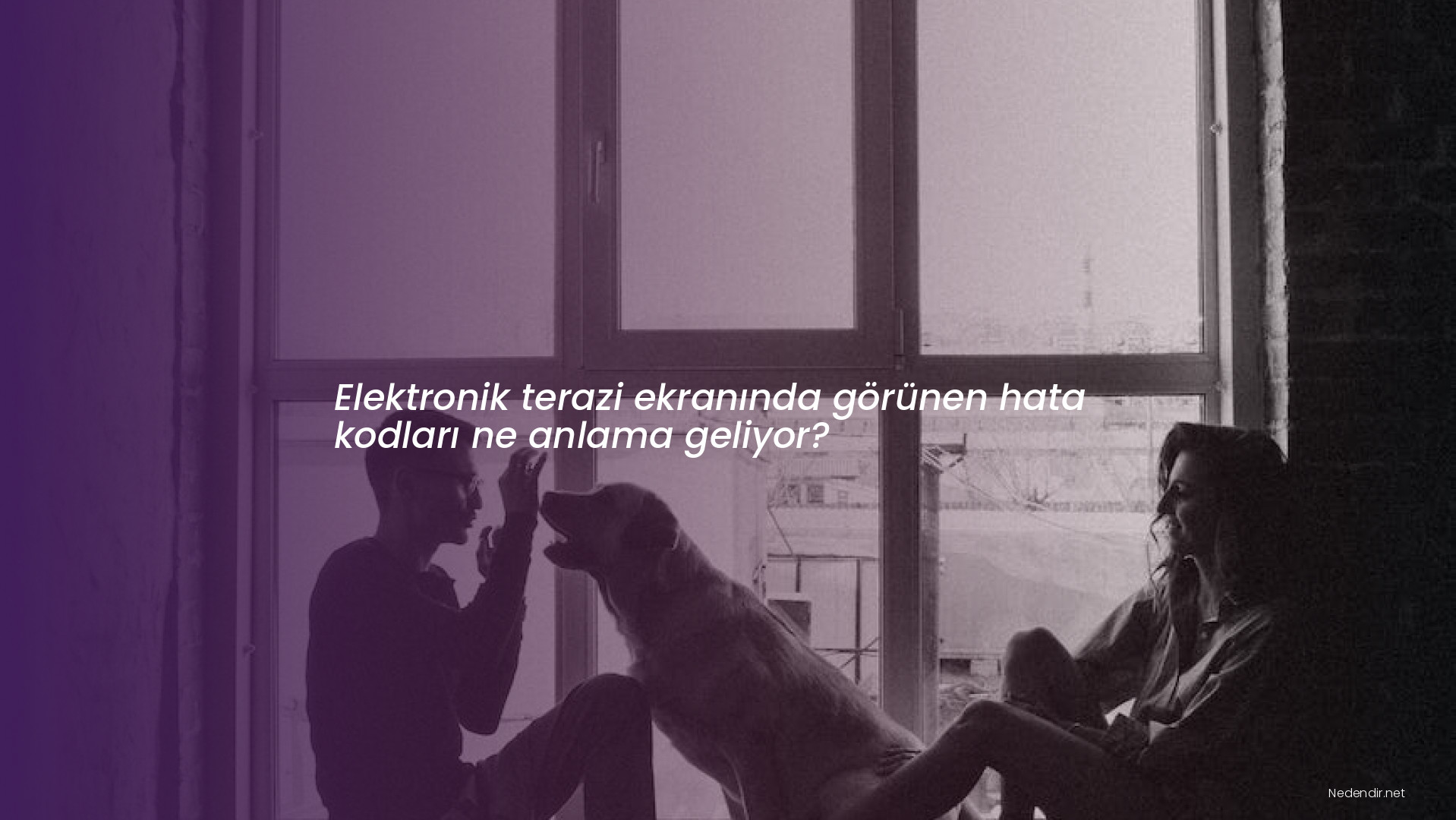 Elektronik terazi ekranında görünen hata kodları ne anlama geliyor?