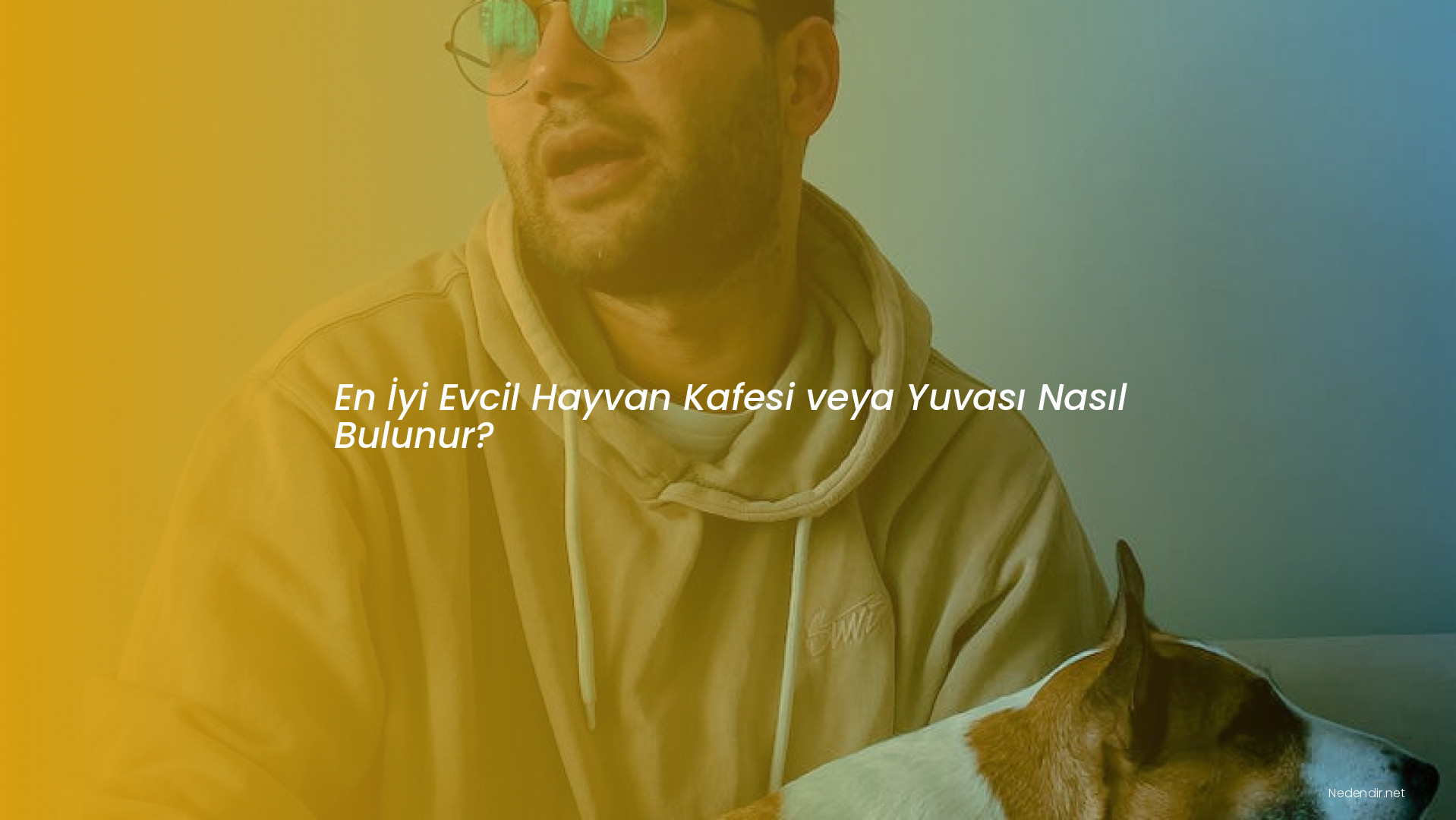 En İyi Evcil Hayvan Kafesi veya Yuvası Nasıl Bulunur?