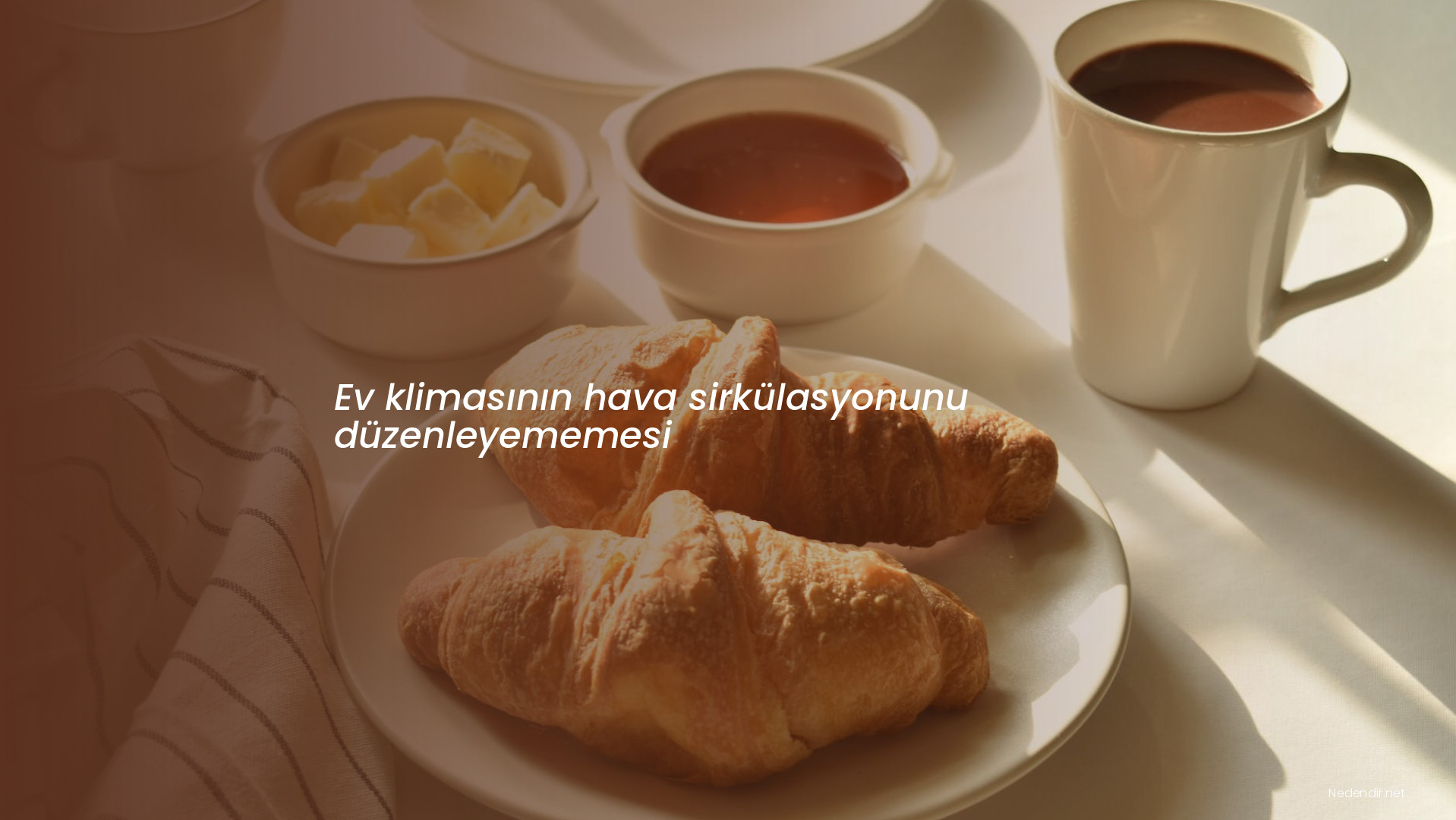 Ev klimasının hava sirkülasyonunu düzenleyememesi