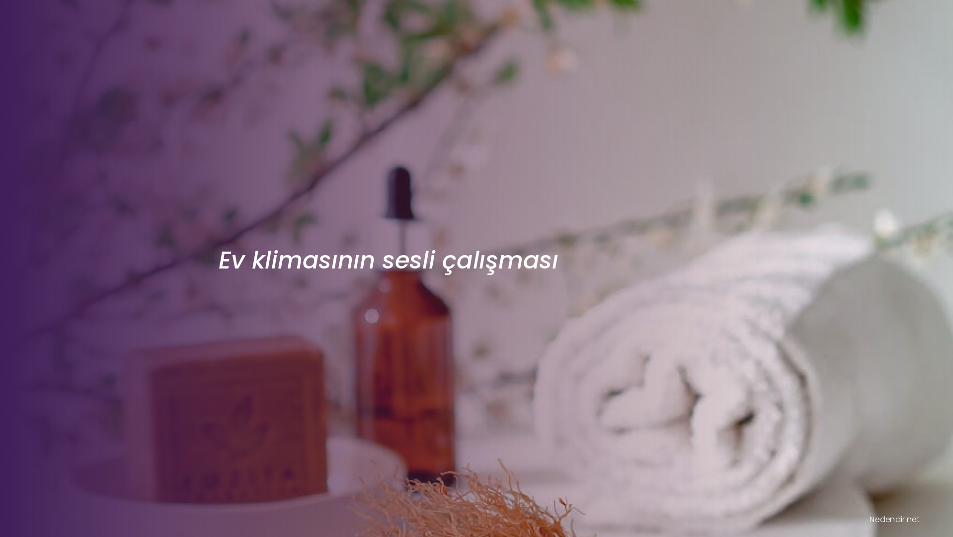 Ev klimasının sesli çalışması