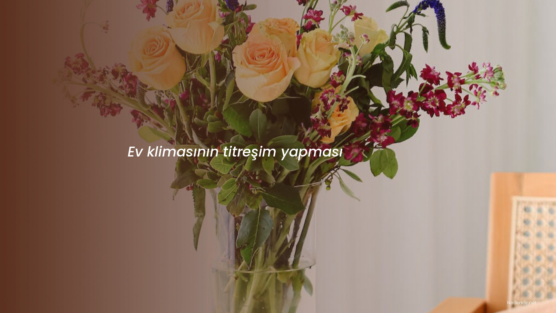 Ev klimasının titreşim yapması