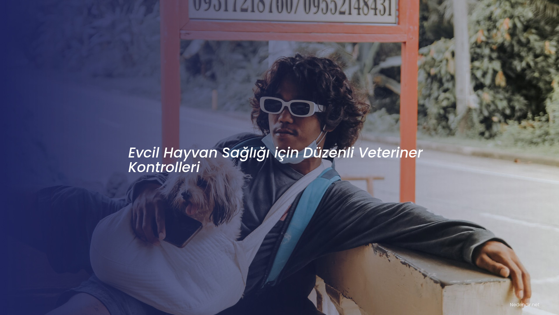 Evcil Hayvan Sağlığı için Düzenli Veteriner Kontrolleri