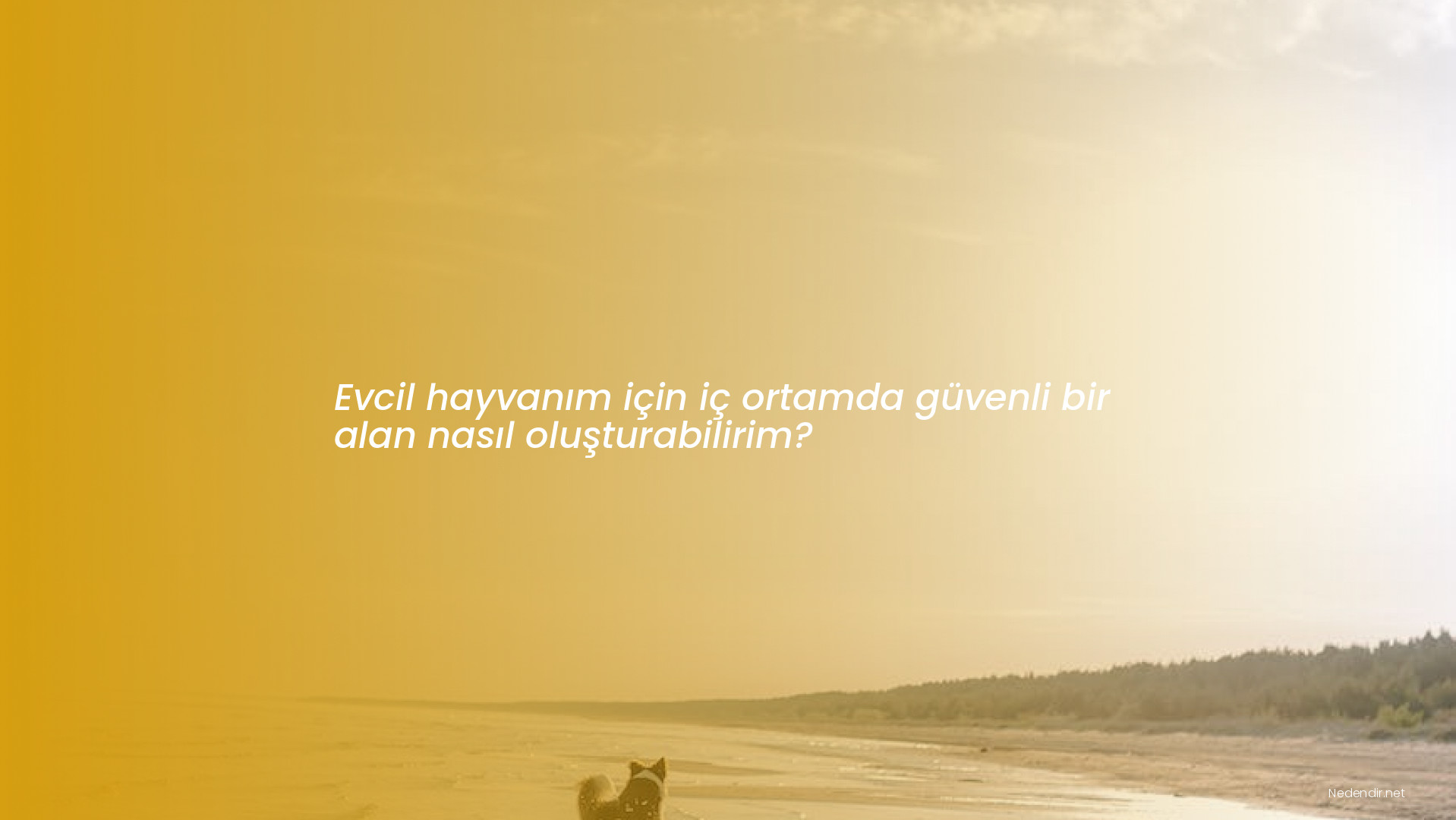 Evcil hayvanım için iç ortamda güvenli bir alan nasıl oluşturabilirim? Evcil hayvanım için iç ortamda güvenli bir alan nasıl oluşturabilirim?