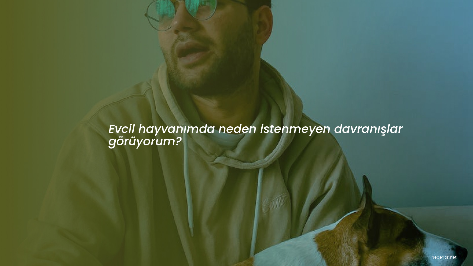 Evcil hayvanımda neden istenmeyen davranışlar görüyorum?