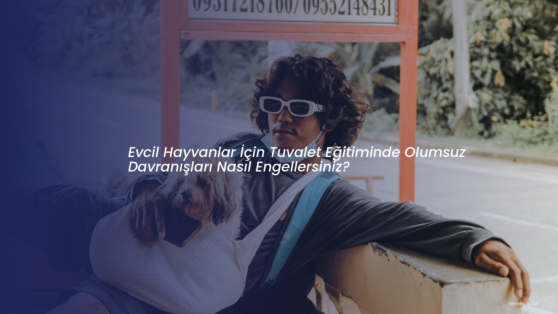 Evcil Hayvanlar İçin Tuvalet Eğitiminde Olumsuz Davranışları Nasıl Engellersiniz?