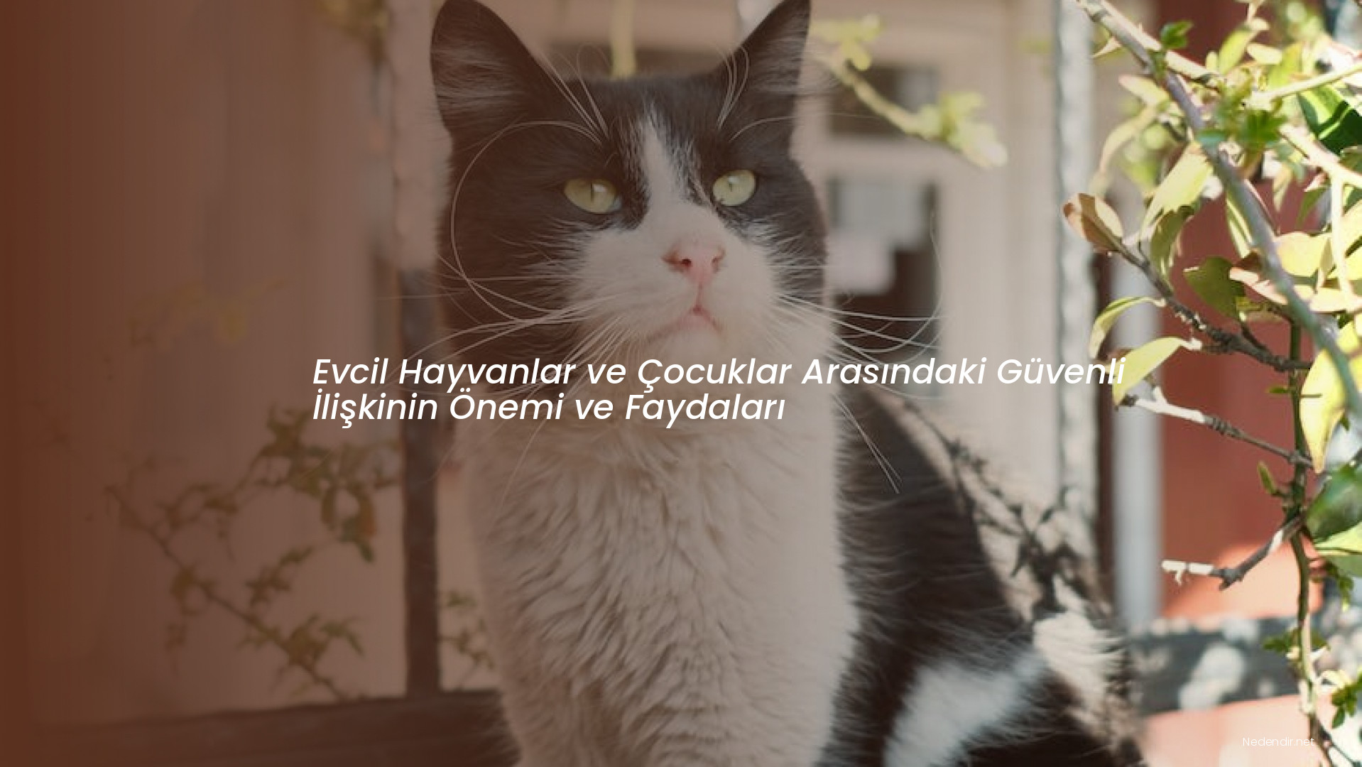 Evcil Hayvanlar ve Çocuklar Arasındaki Güvenli İlişkinin Önemi ve Faydaları