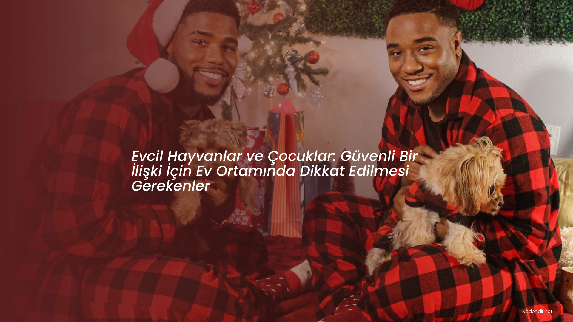 Evcil Hayvanlar ve Çocuklar: Güvenli Bir İlişki İçin Ev Ortamında Dikkat Edilmesi Gerekenler
