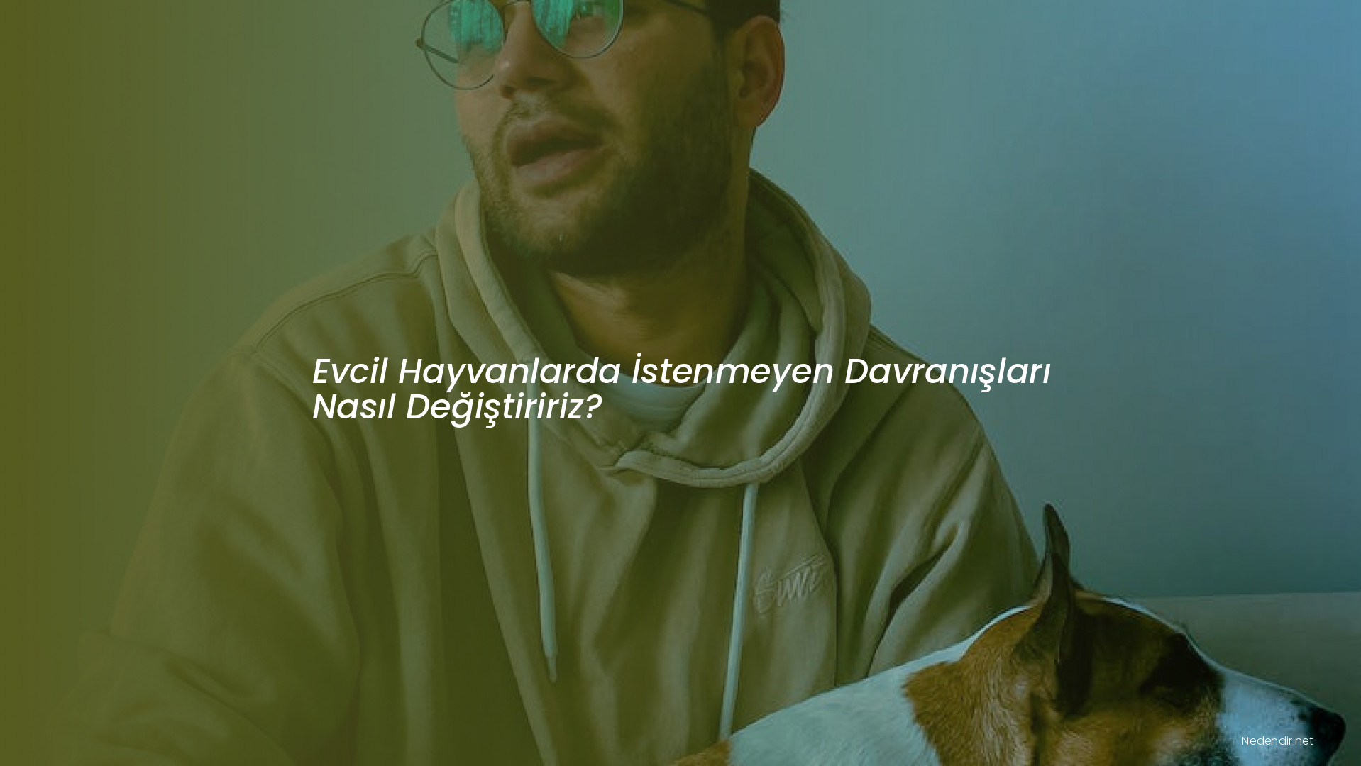 Evcil Hayvanlarda İstenmeyen Davranışları Nasıl Değiştiririz?