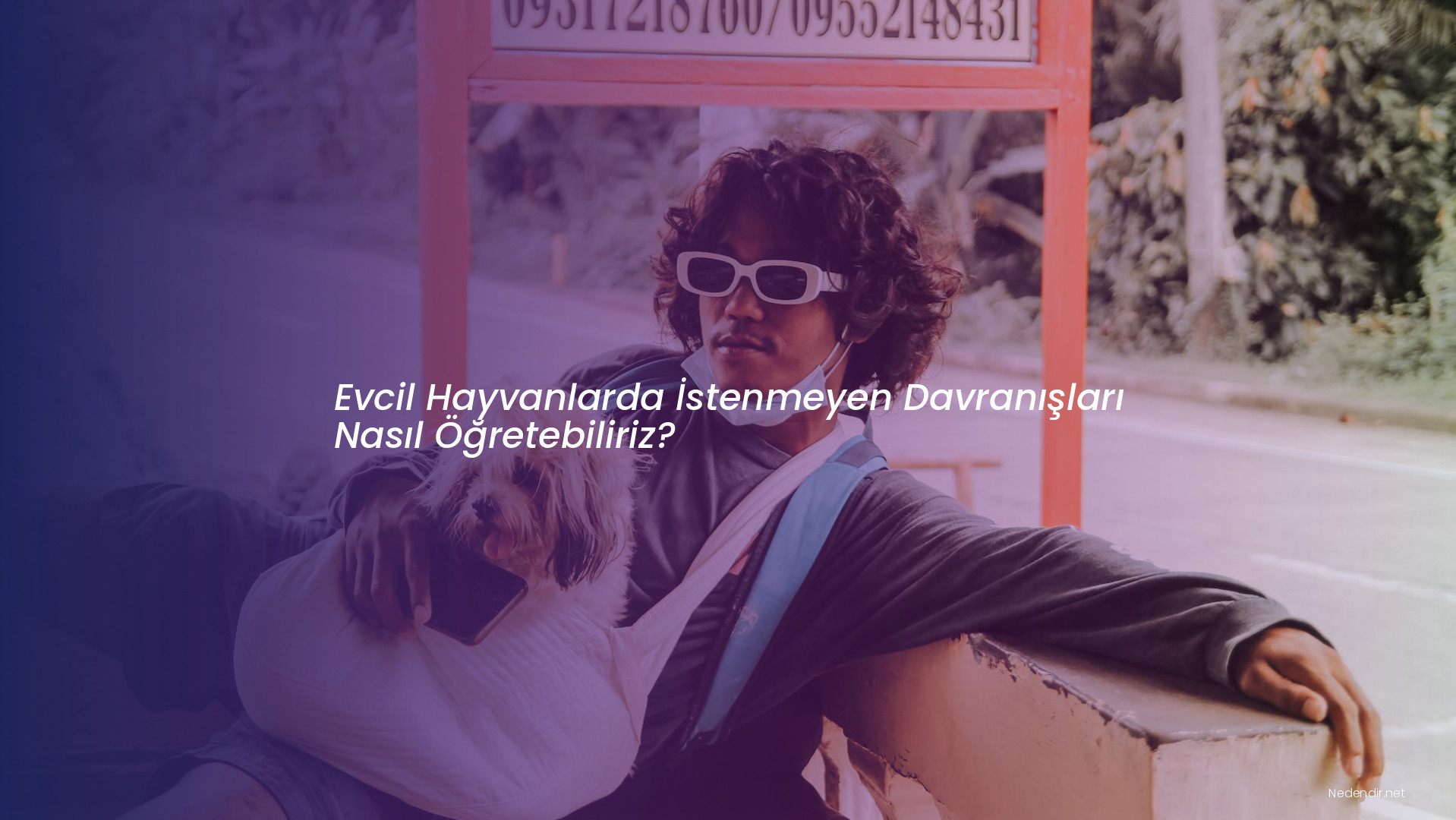 Evcil Hayvanlarda İstenmeyen Davranışları Nasıl Öğretebiliriz?
