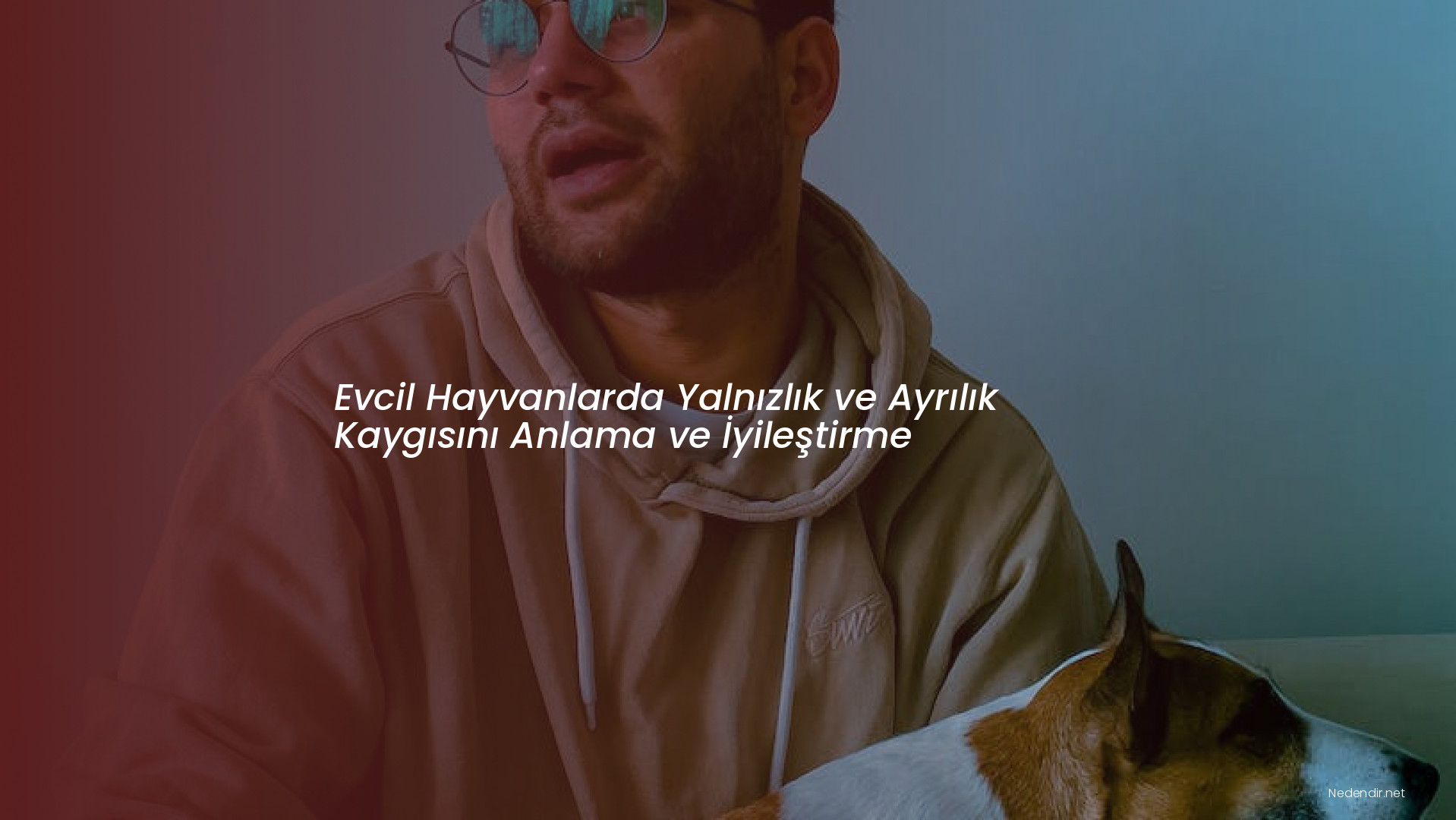 Evcil Hayvanlarda Yalnızlık ve Ayrılık Kaygısını Anlama ve İyileştirme
