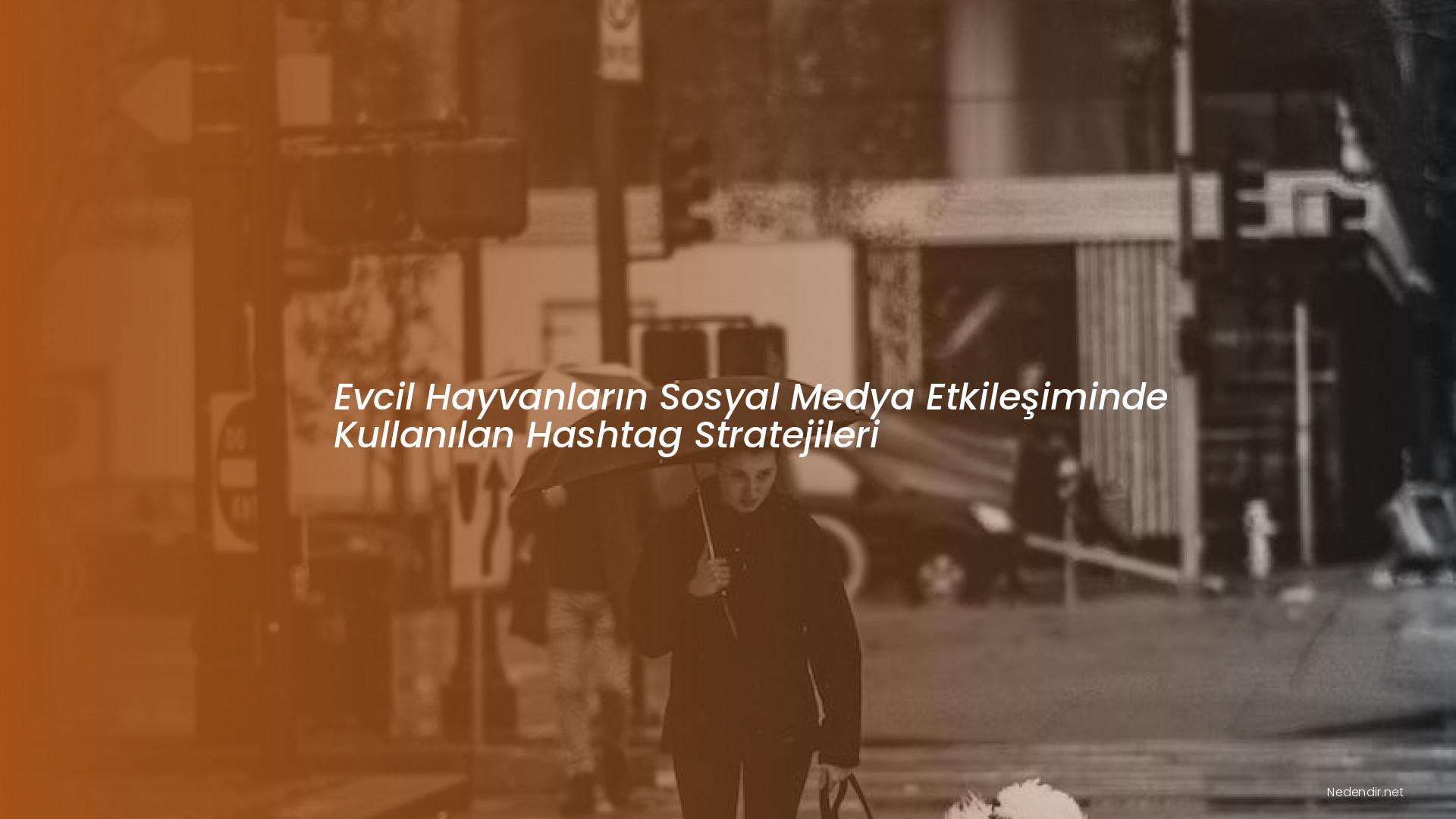 Evcil Hayvanların Sosyal Medya Etkileşiminde Kullanılan Hashtag Stratejileri Evcil Hayvanların Sosyal Medya Etkileşiminde Kullanılan Hashtag Stratejileri