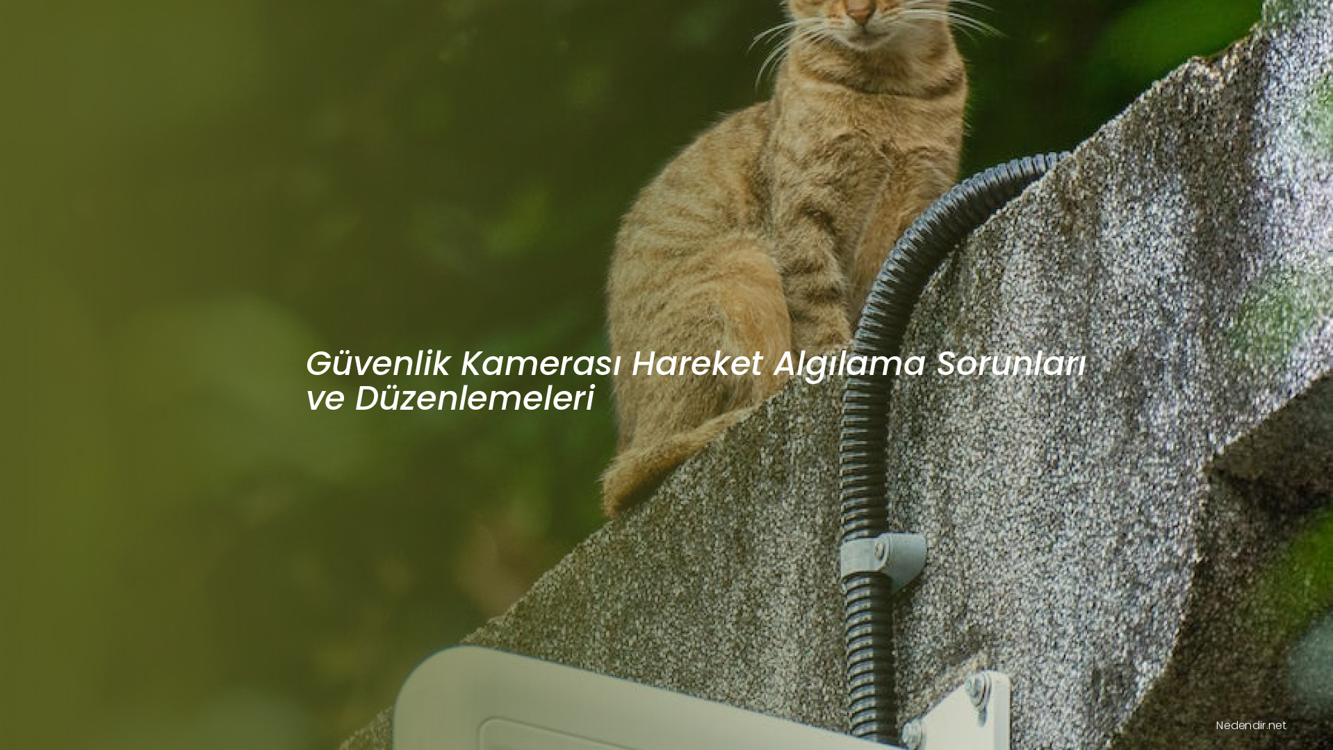 Güvenlik Kamerası Hareket Algılama Sorunları ve Düzenlemeleri