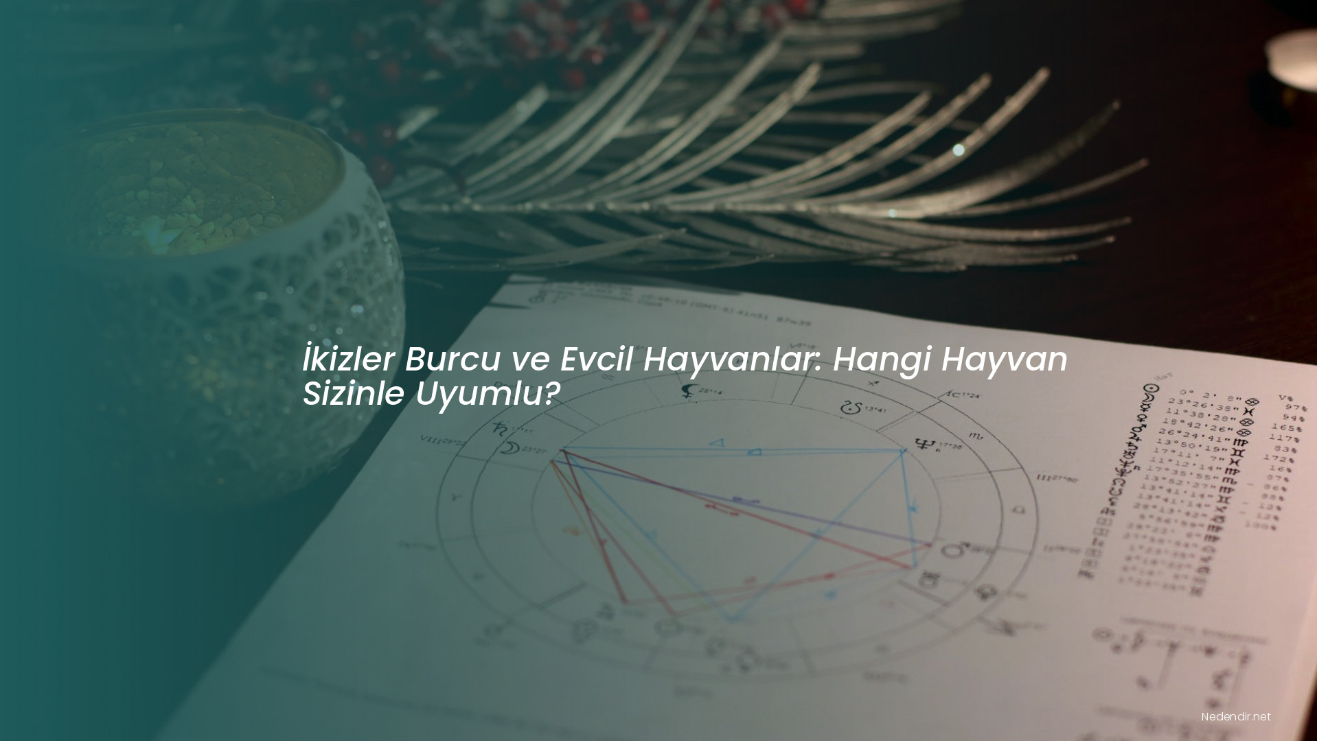 İkizler Burcu ve Evcil Hayvanlar: Hangi Hayvan Sizinle Uyumlu? İkizler Burcu ve Evcil Hayvanlar: Hangi Hayvan Sizinle Uyumlu?