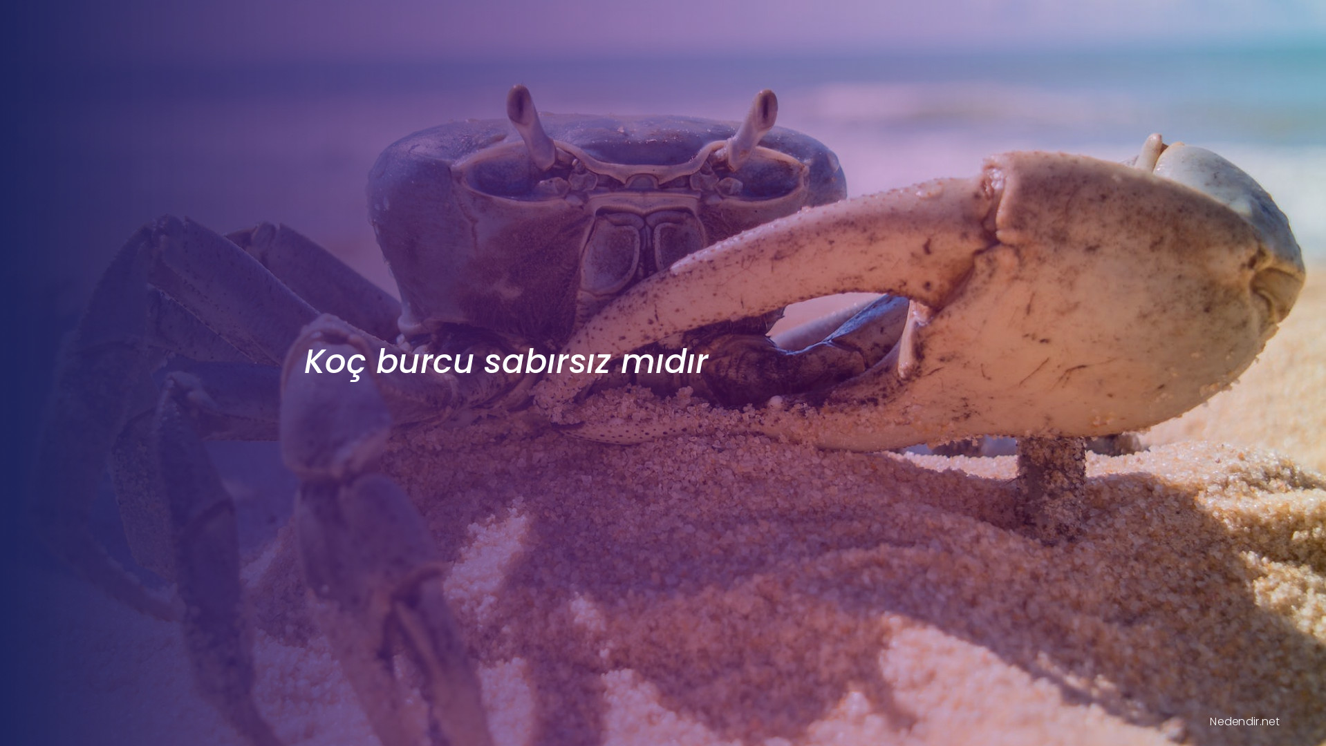 Koç burcu sabırsız mıdır Koç burcu sabırsız mıdır