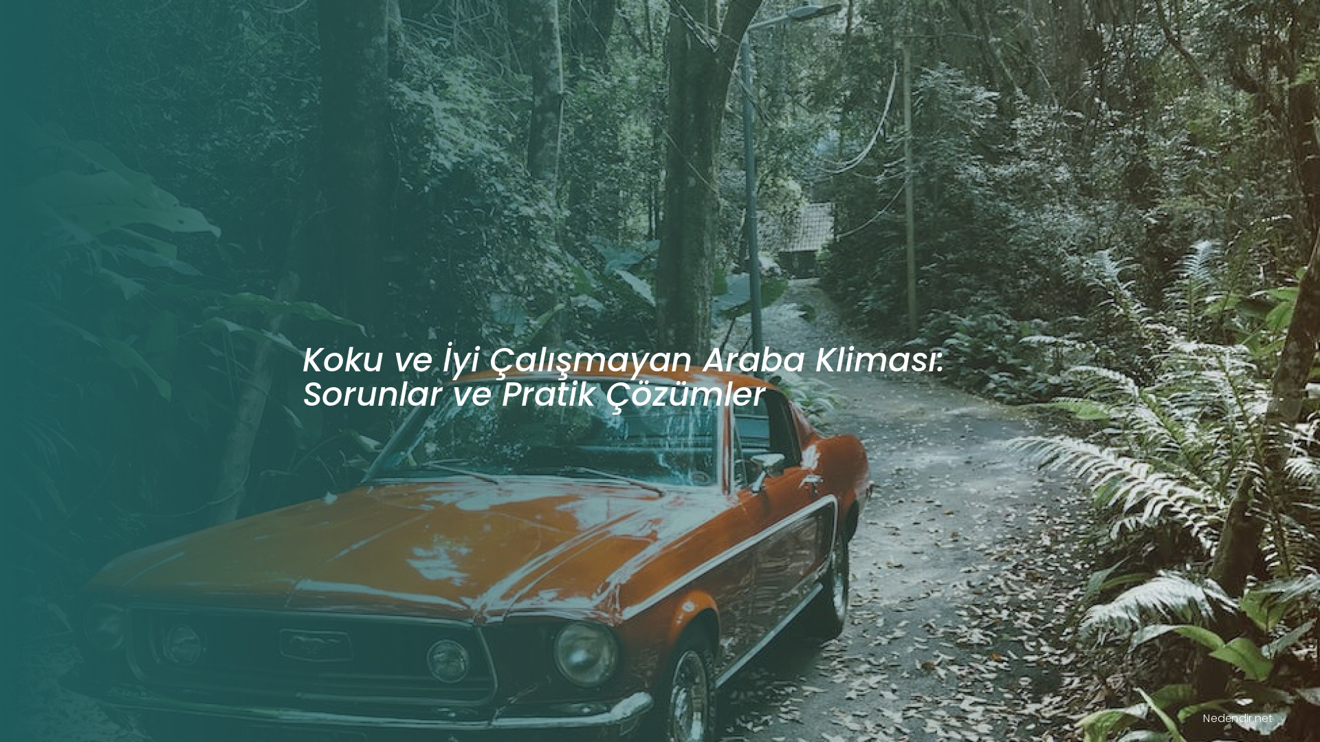 Koku ve İyi Çalışmayan Araba Kliması: Sorunlar ve Pratik Çözümler