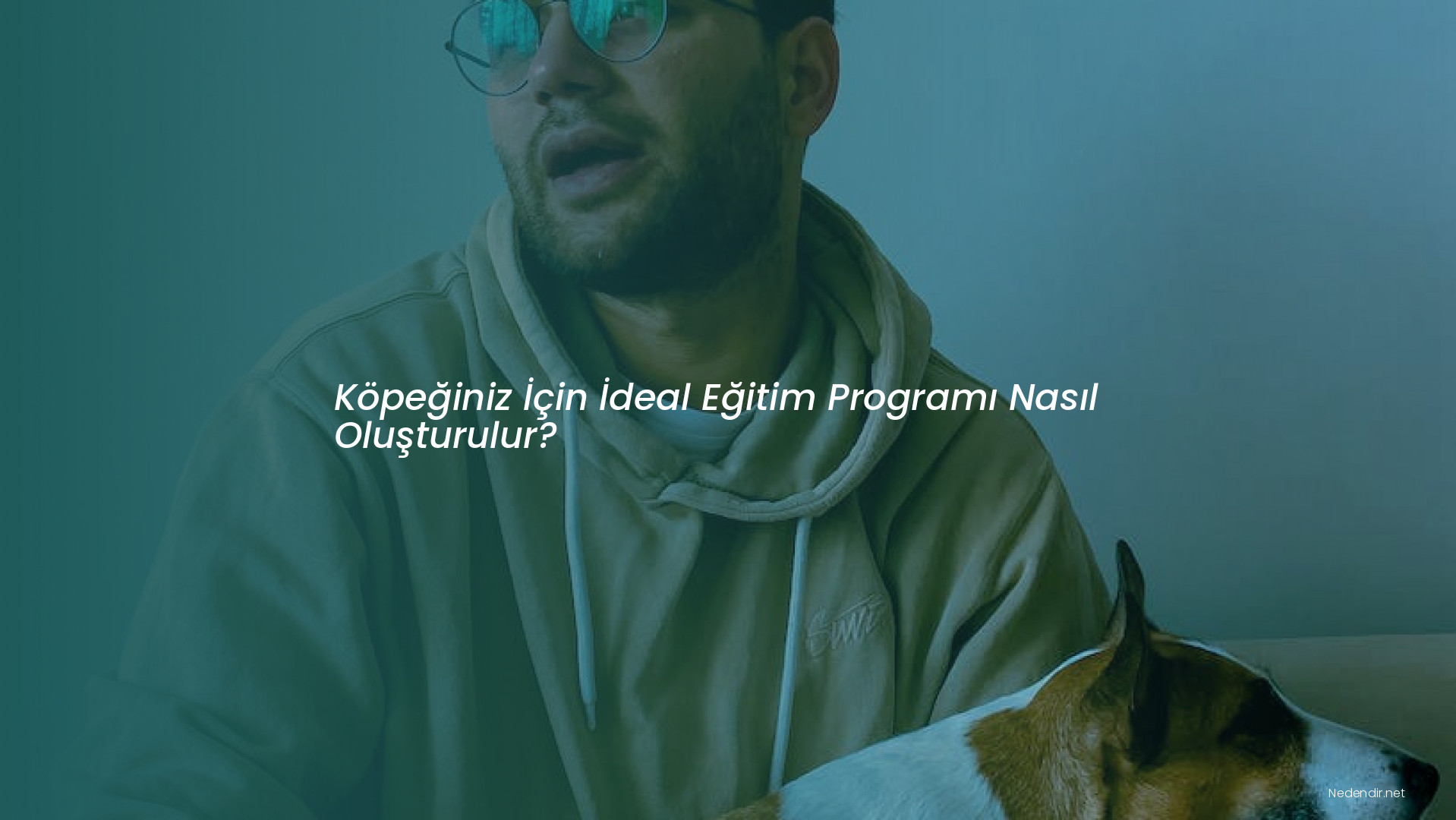 Köpeğiniz İçin İdeal Eğitim Programı Nasıl Oluşturulur?