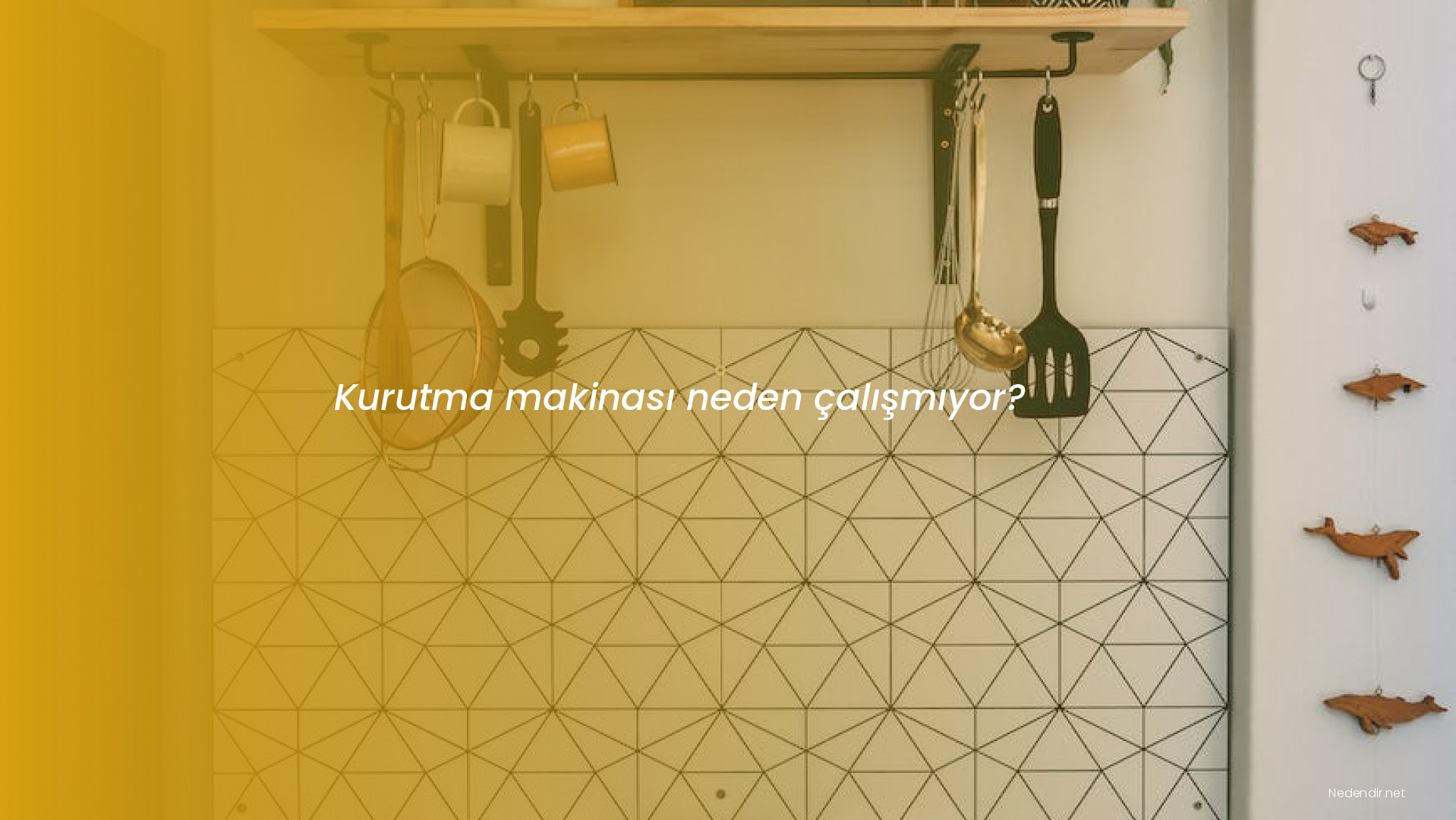 Kurutma makinası neden çalışmıyor?