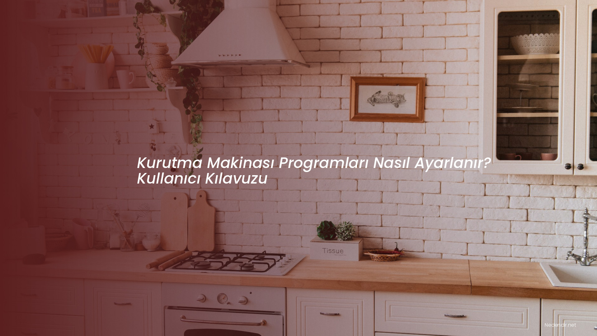 Kurutma Makinası Programları Nasıl Ayarlanır? Kullanıcı Kılavuzu