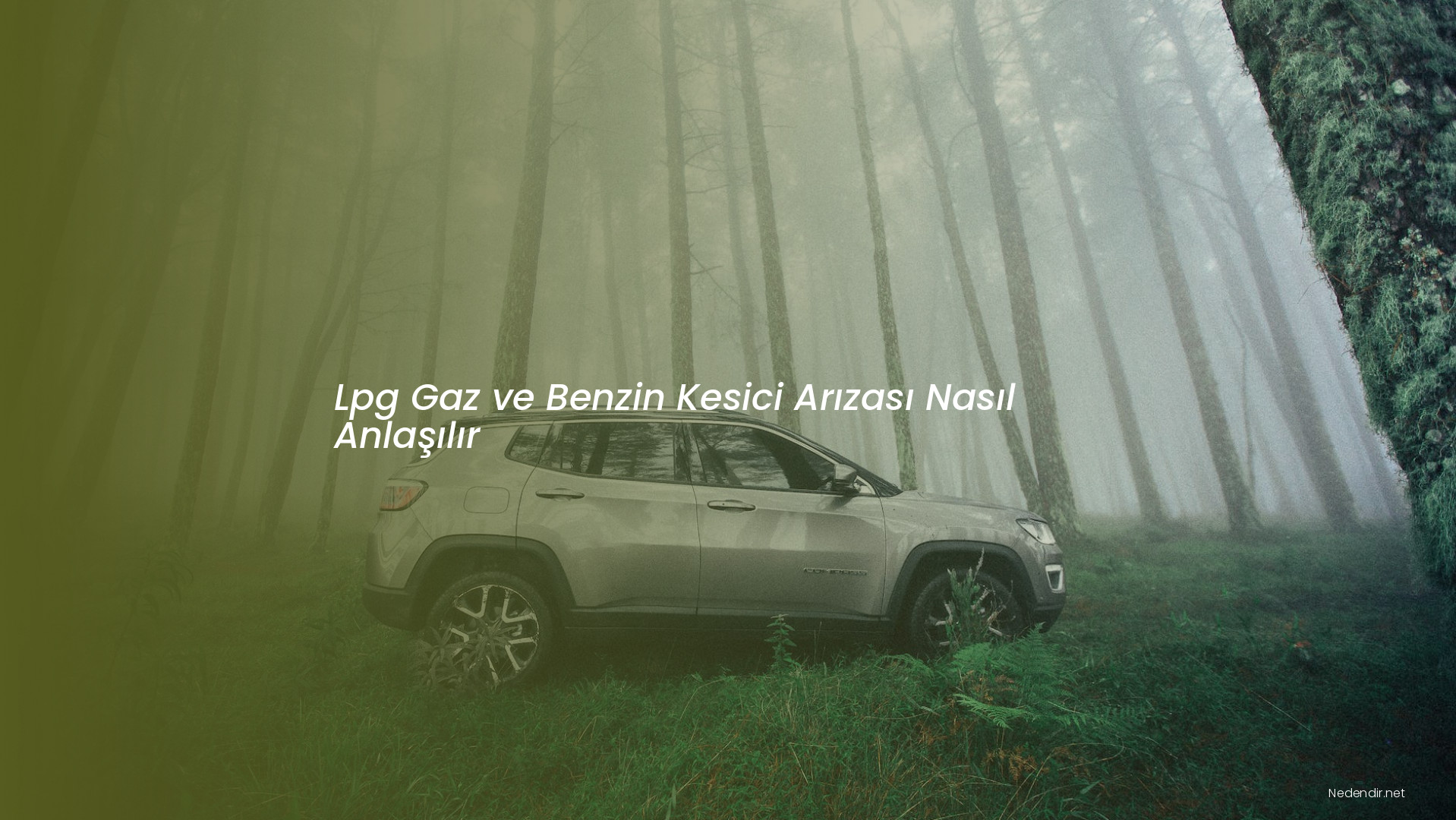 Lpg Gaz ve Benzin Kesici Arızası Nasıl Anlaşılır