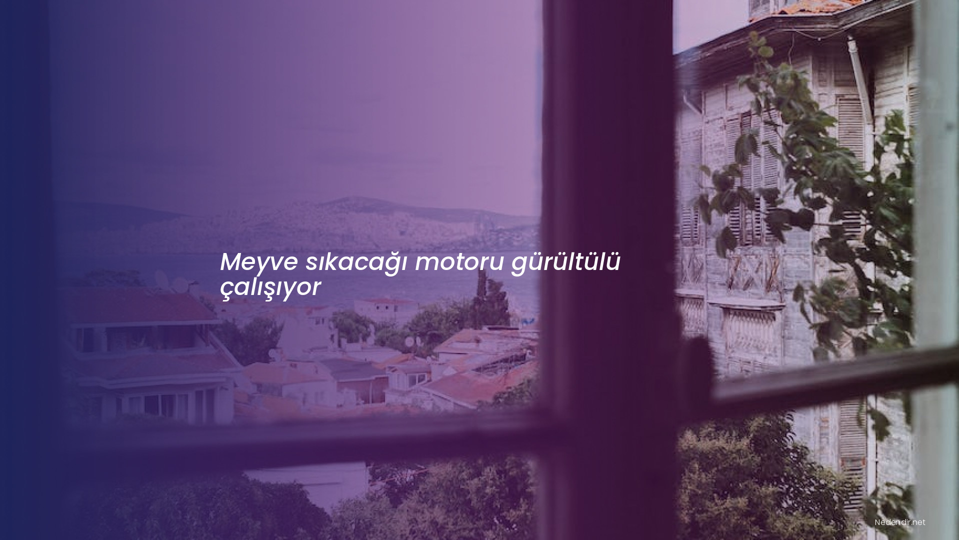 Meyve sıkacağı motoru gürültülü çalışıyor