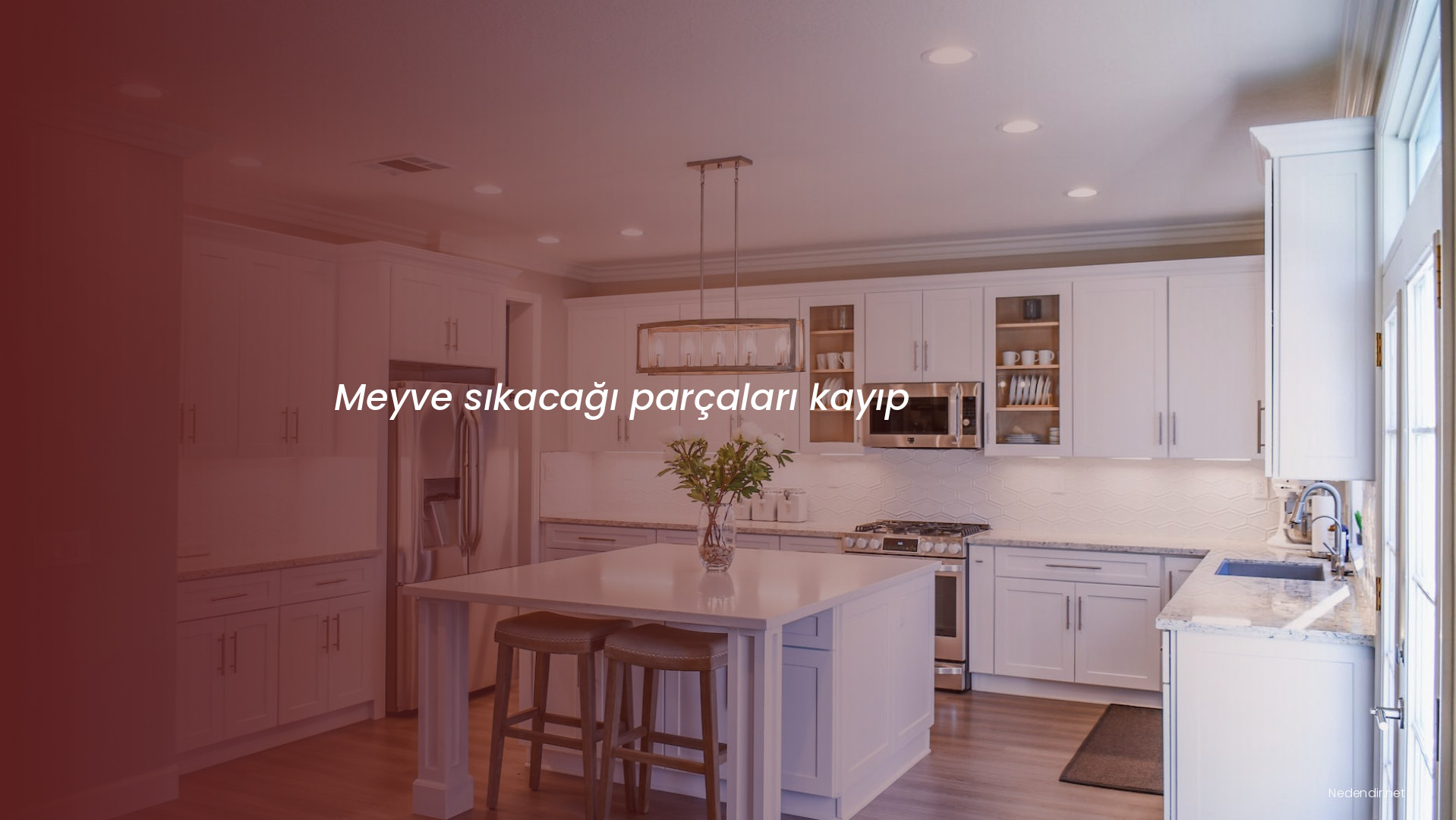 Meyve sıkacağı parçaları kayıp