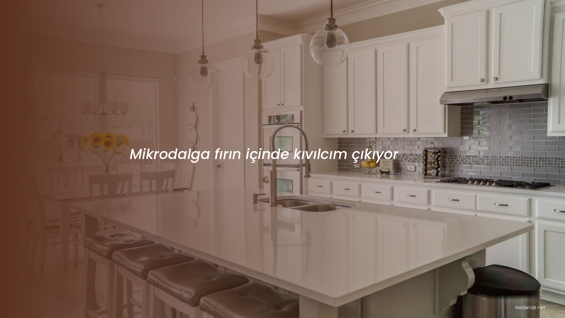 Mikrodalga fırın içinde kıvılcım çıkıyor