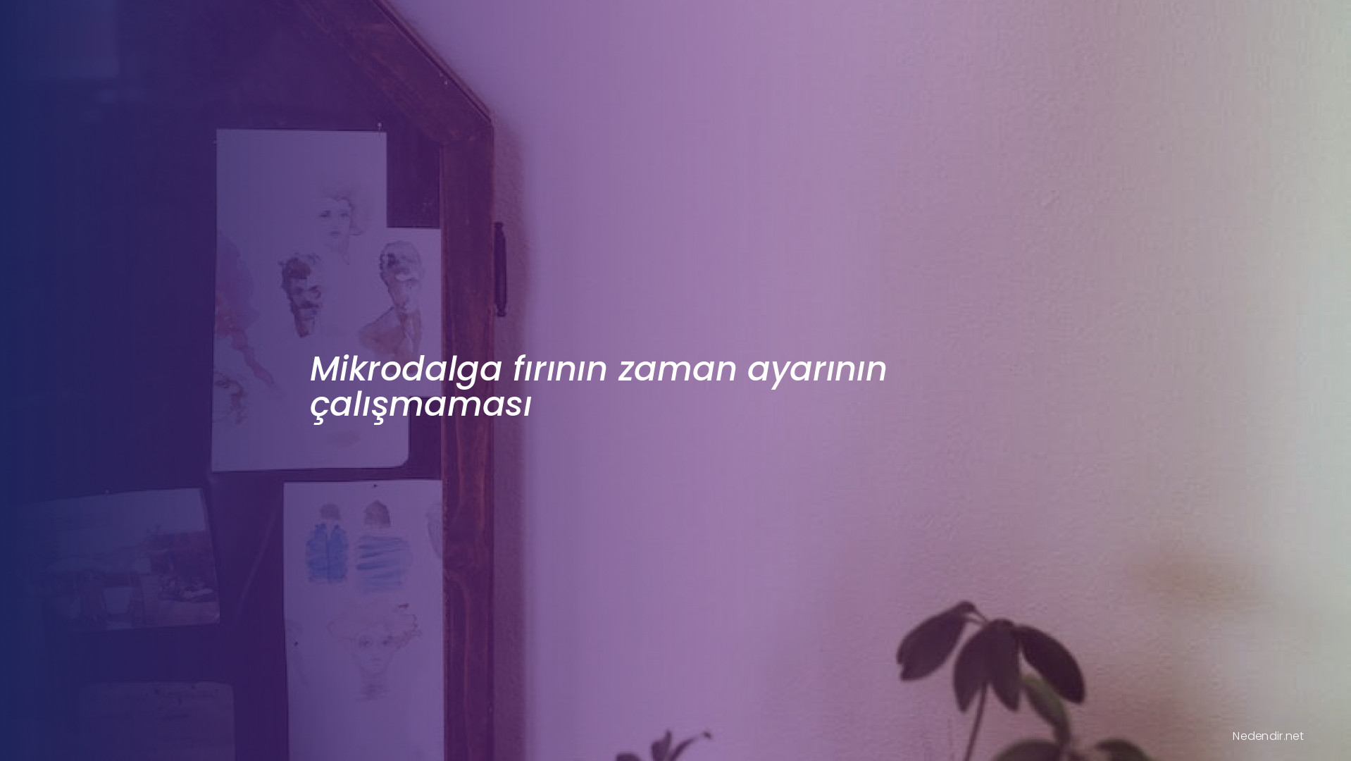 Mikrodalga fırının zaman ayarının çalışmaması