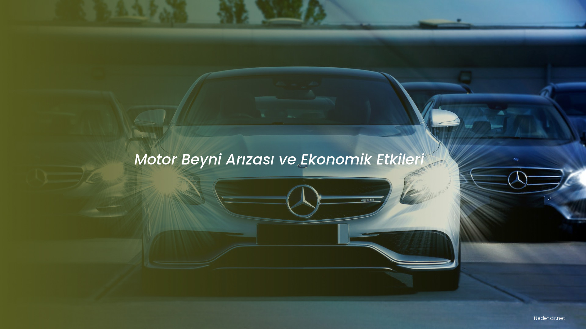 Motor Beyni Arızası ve Ekonomik Etkileri