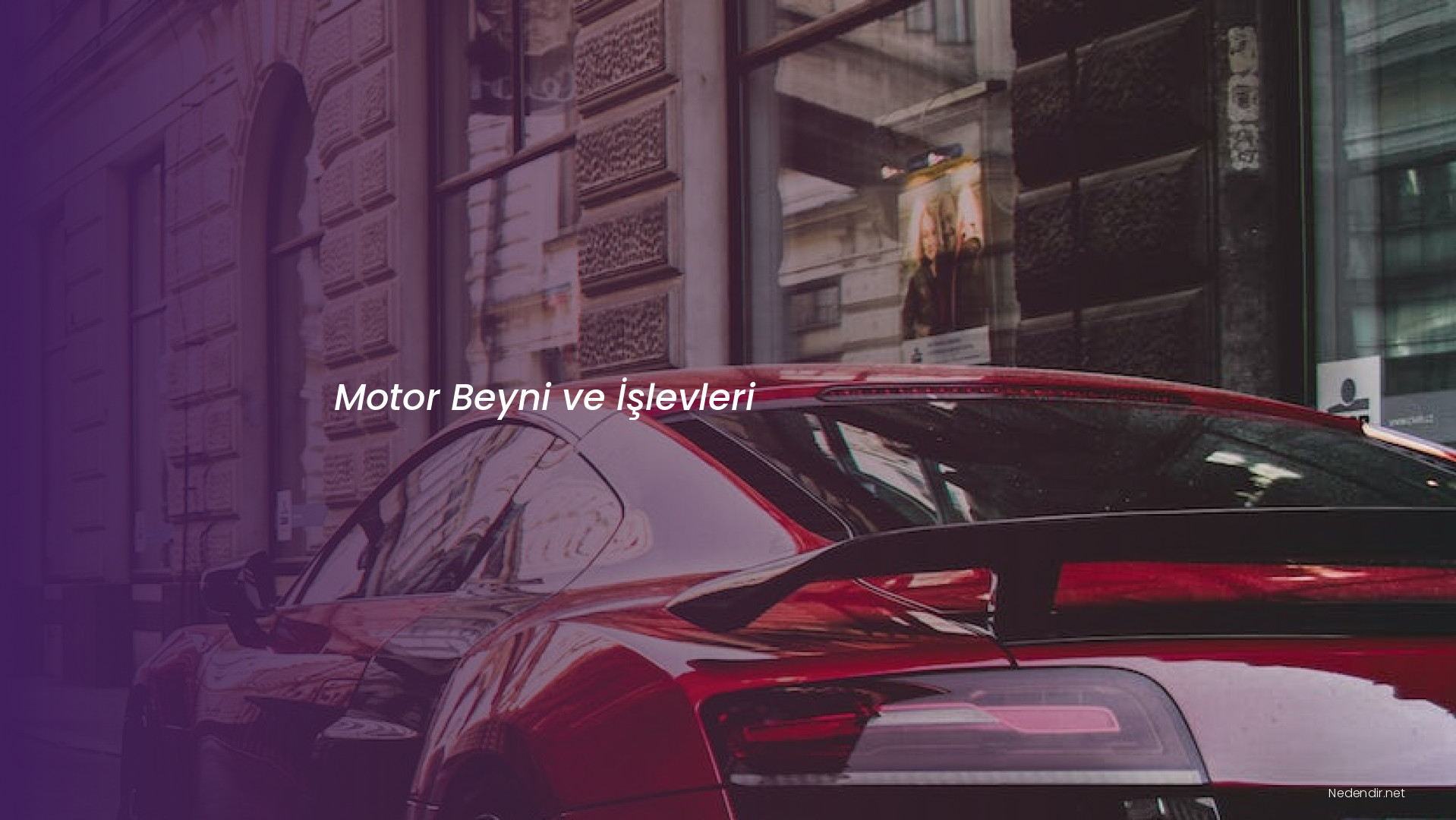 Motor Beyni ve İşlevleri