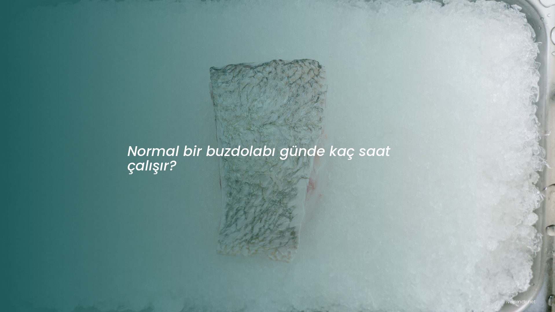 Normal bir buzdolabı günde kaç saat çalışır?