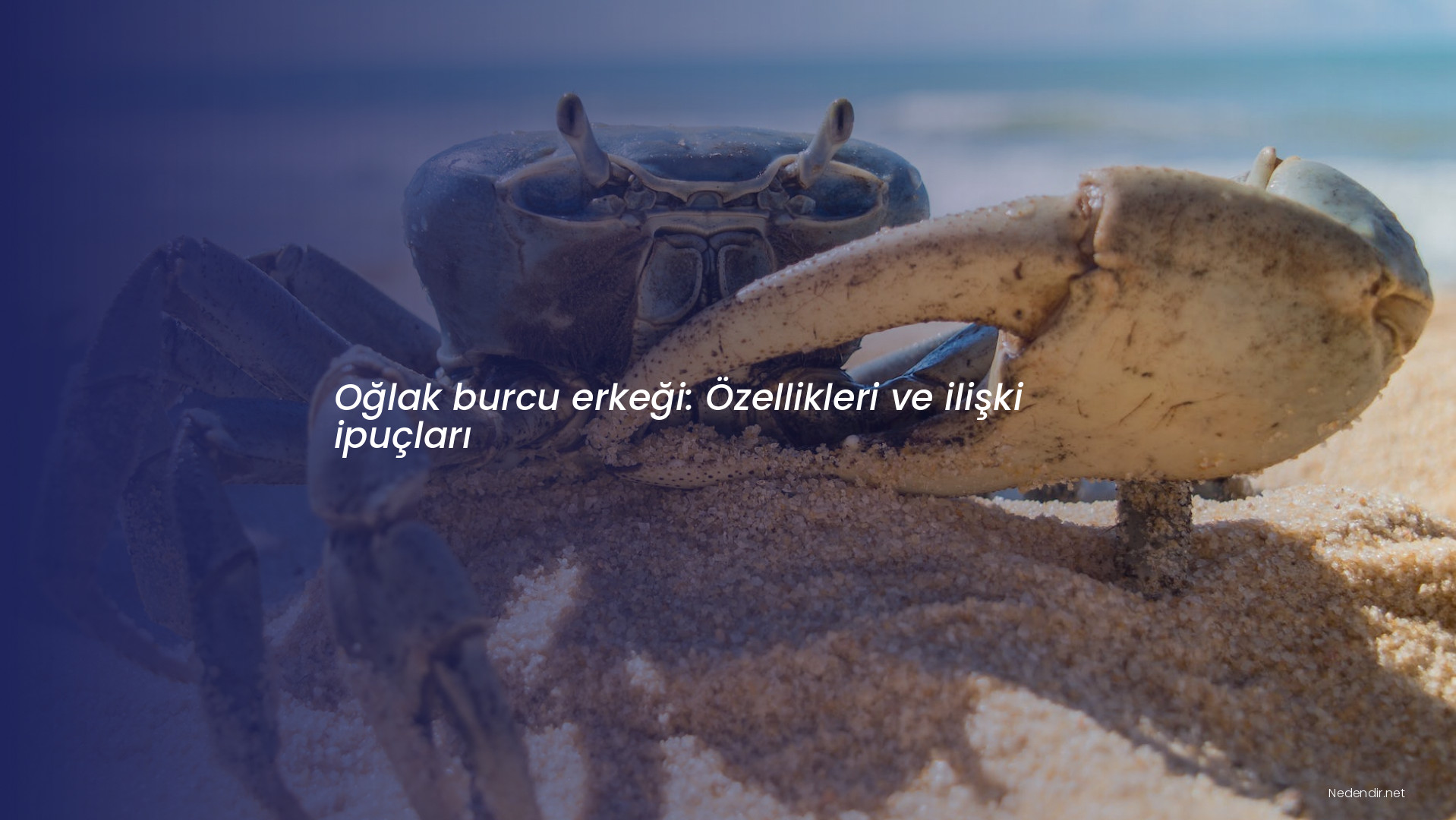 Oğlak burcu erkeği: Özellikleri ve ilişki ipuçları