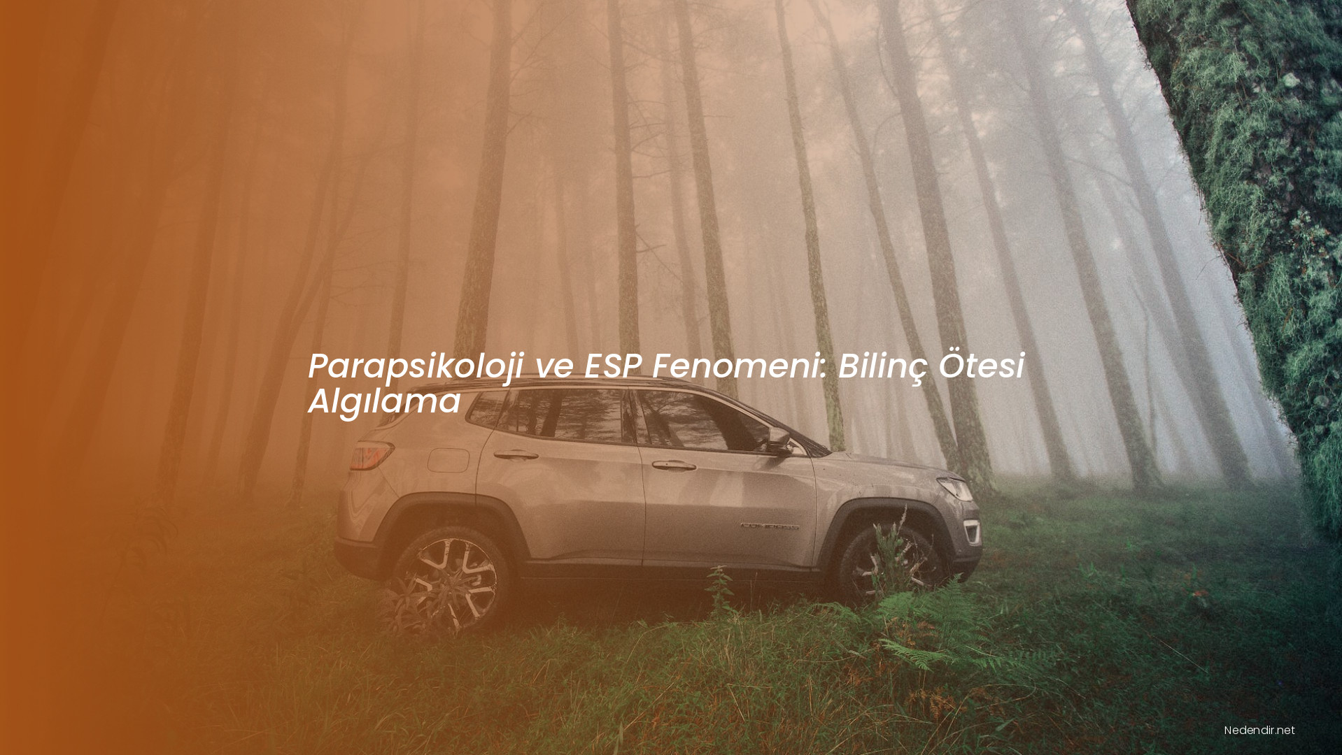 Parapsikoloji ve ESP Fenomeni: Bilinç Ötesi Algılama