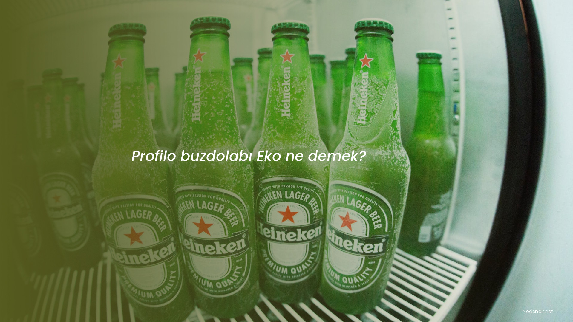 Profilo buzdolabı Eko ne demek?