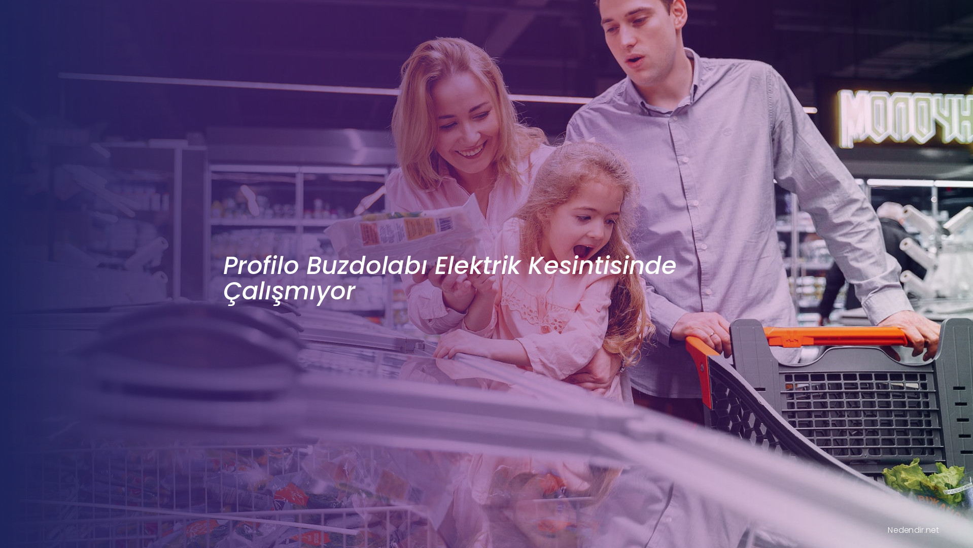 Profilo Buzdolabı Elektrik Kesintisinde Çalışmıyor