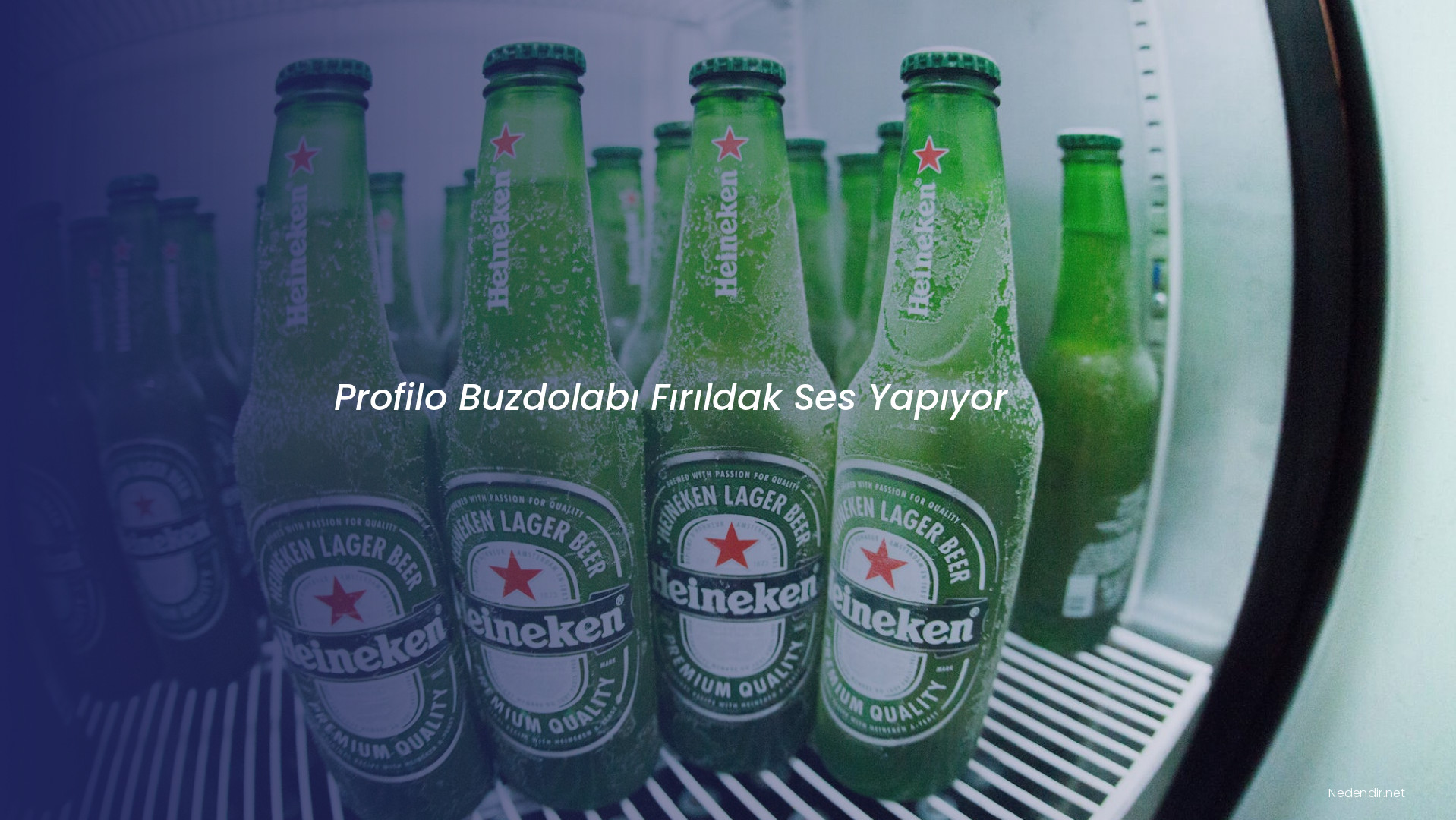 Profilo Buzdolabı Fırıldak Ses Yapıyor