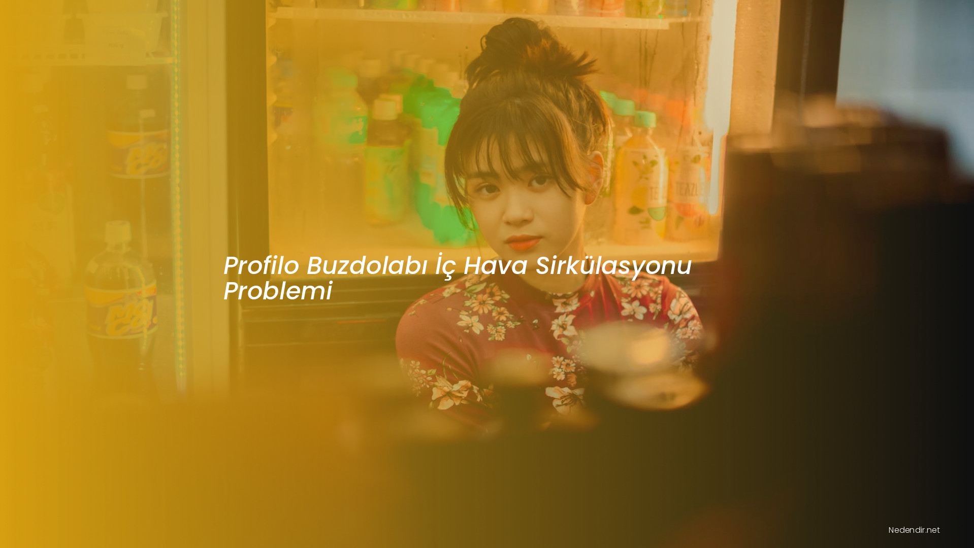 Profilo Buzdolabı İç Hava Sirkülasyonu Problemi