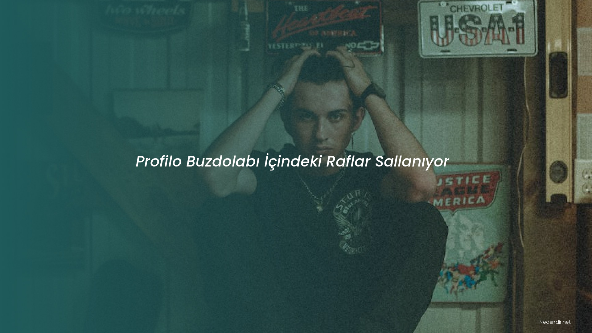 Profilo Buzdolabı İçindeki Raflar Sallanıyor