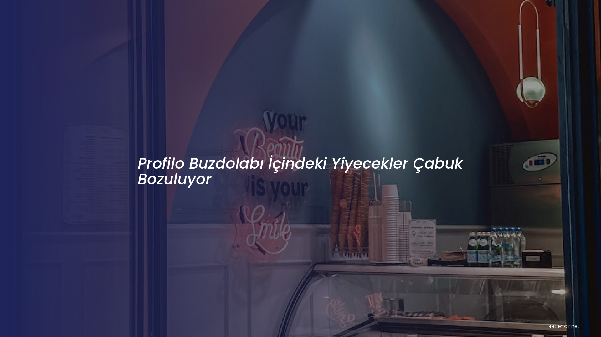 Profilo Buzdolabı İçindeki Yiyecekler Çabuk Bozuluyor