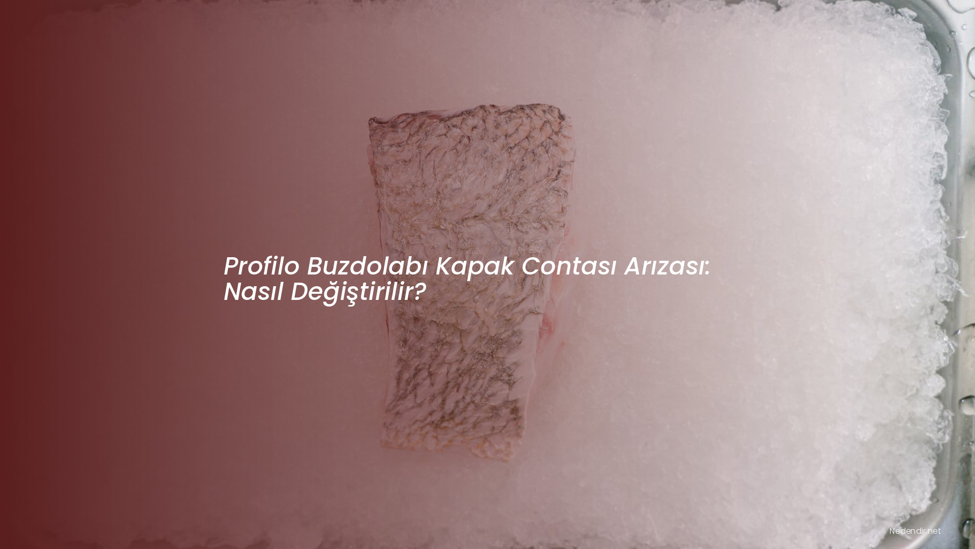 Profilo Buzdolabı Kapak Contası Arızası: Nasıl Değiştirilir?