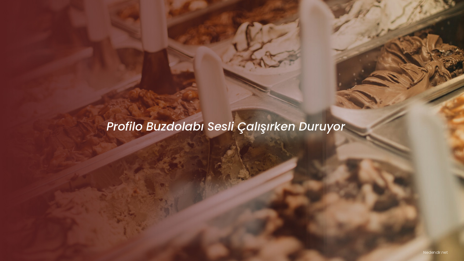 Profilo Buzdolabı Sesli Çalışırken Duruyor