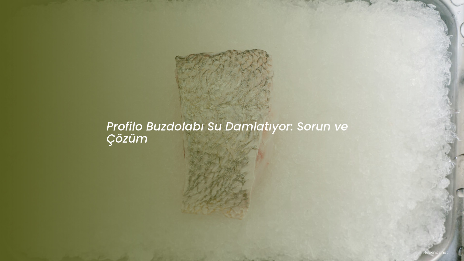 Profilo Buzdolabı Su Damlatıyor: Sorun ve Çözüm