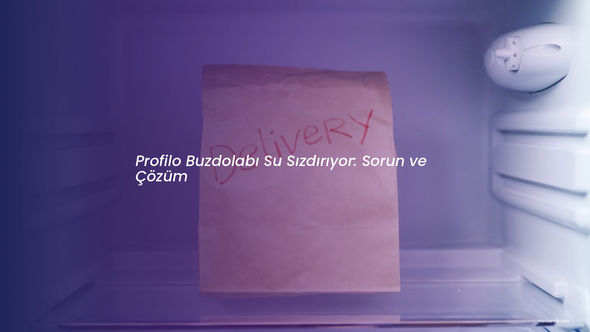 Profilo Buzdolabı Su Sızdırıyor: Sorun ve Çözüm