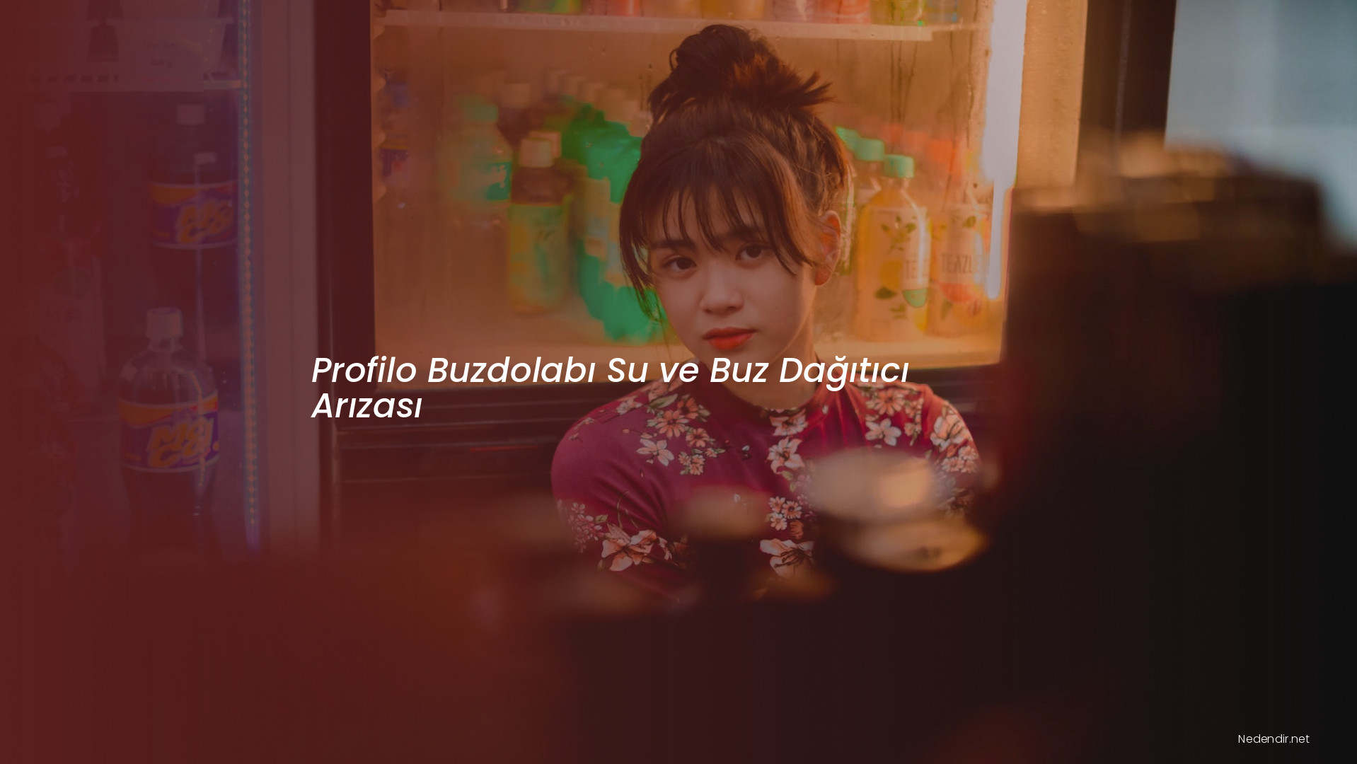 Profilo Buzdolabı Su ve Buz Dağıtıcı Arızası