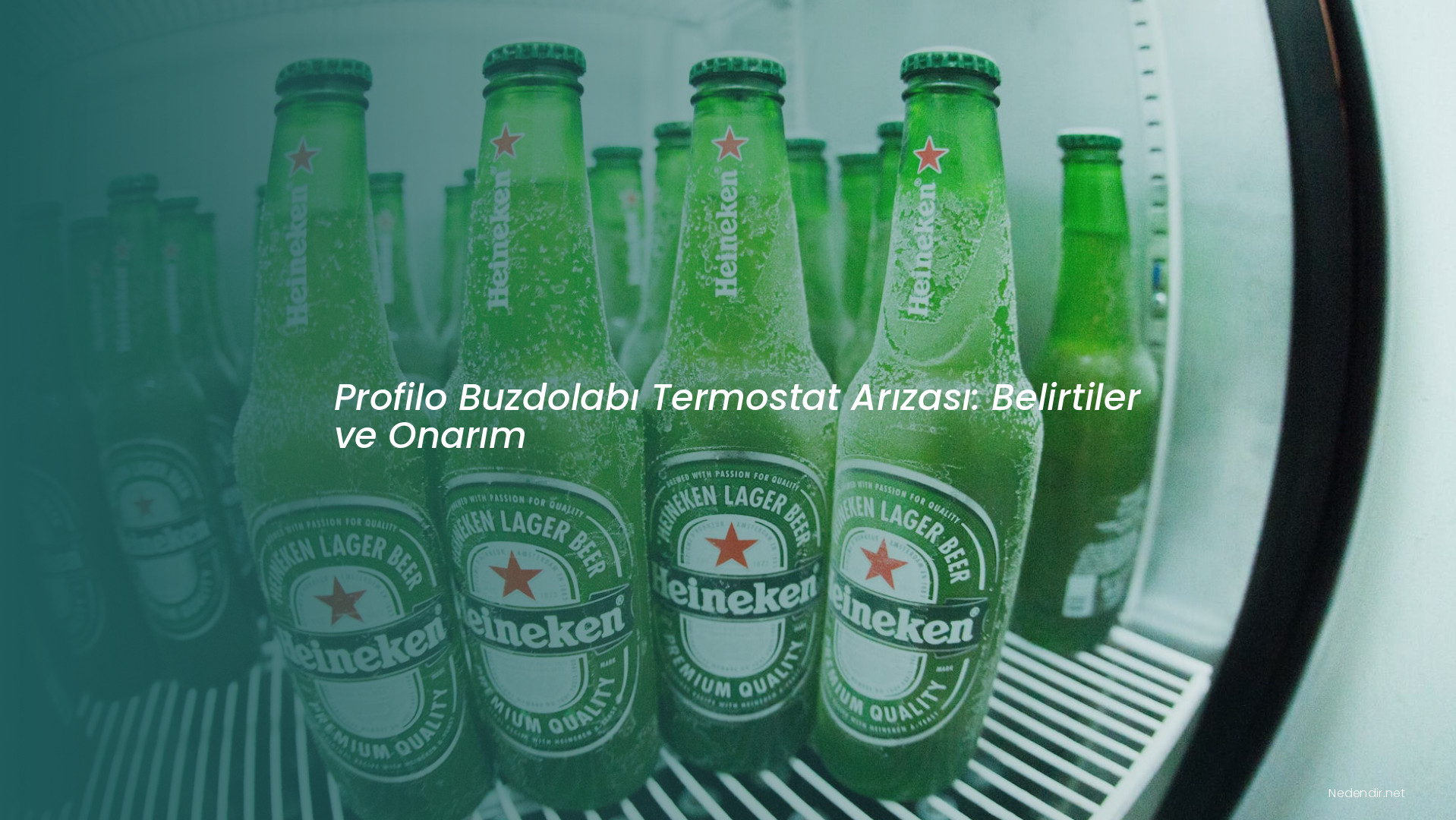 Profilo Buzdolabı Termostat Arızası: Belirtiler ve Onarım