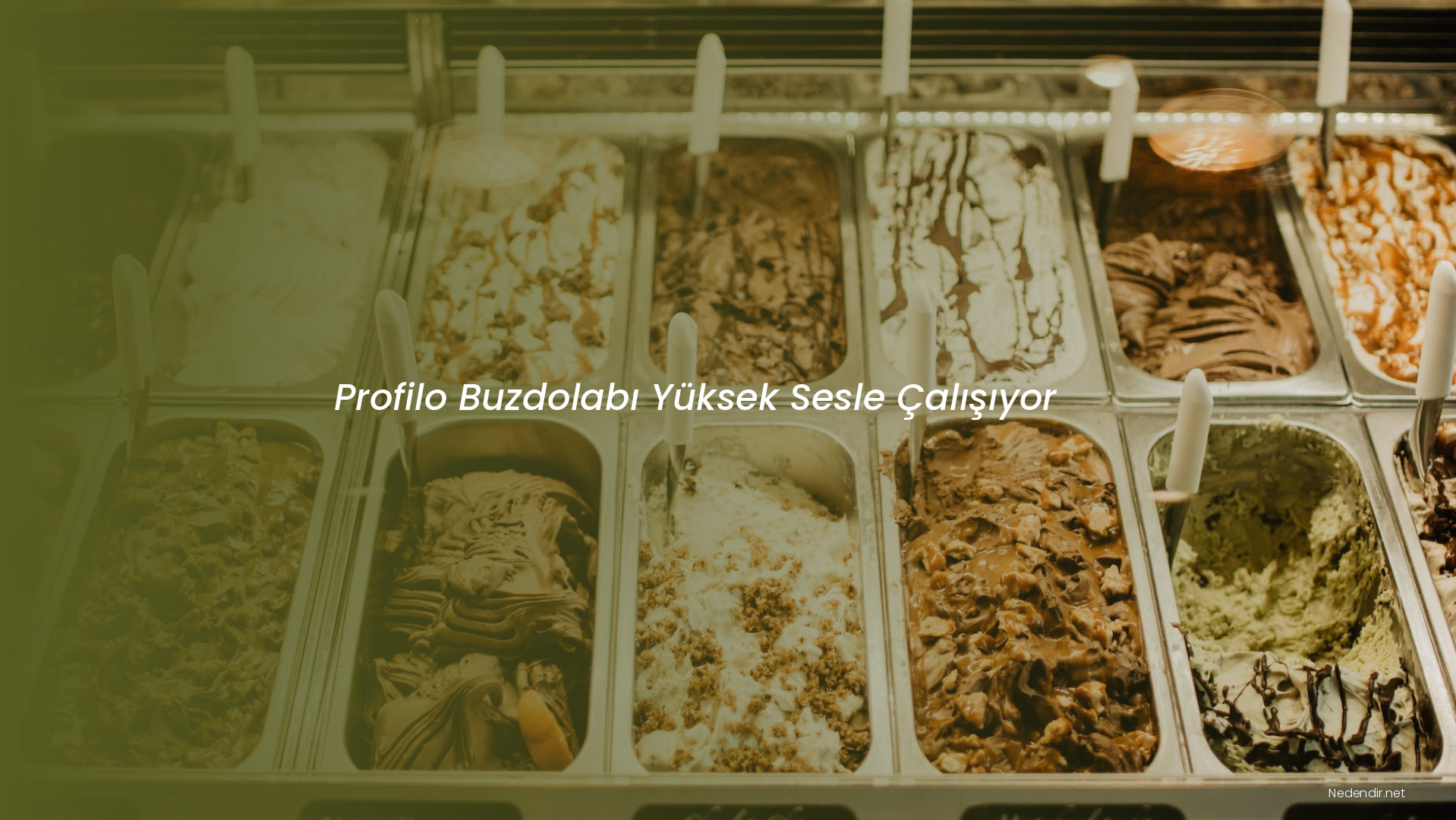 Profilo Buzdolabı Yüksek Sesle Çalışıyor
