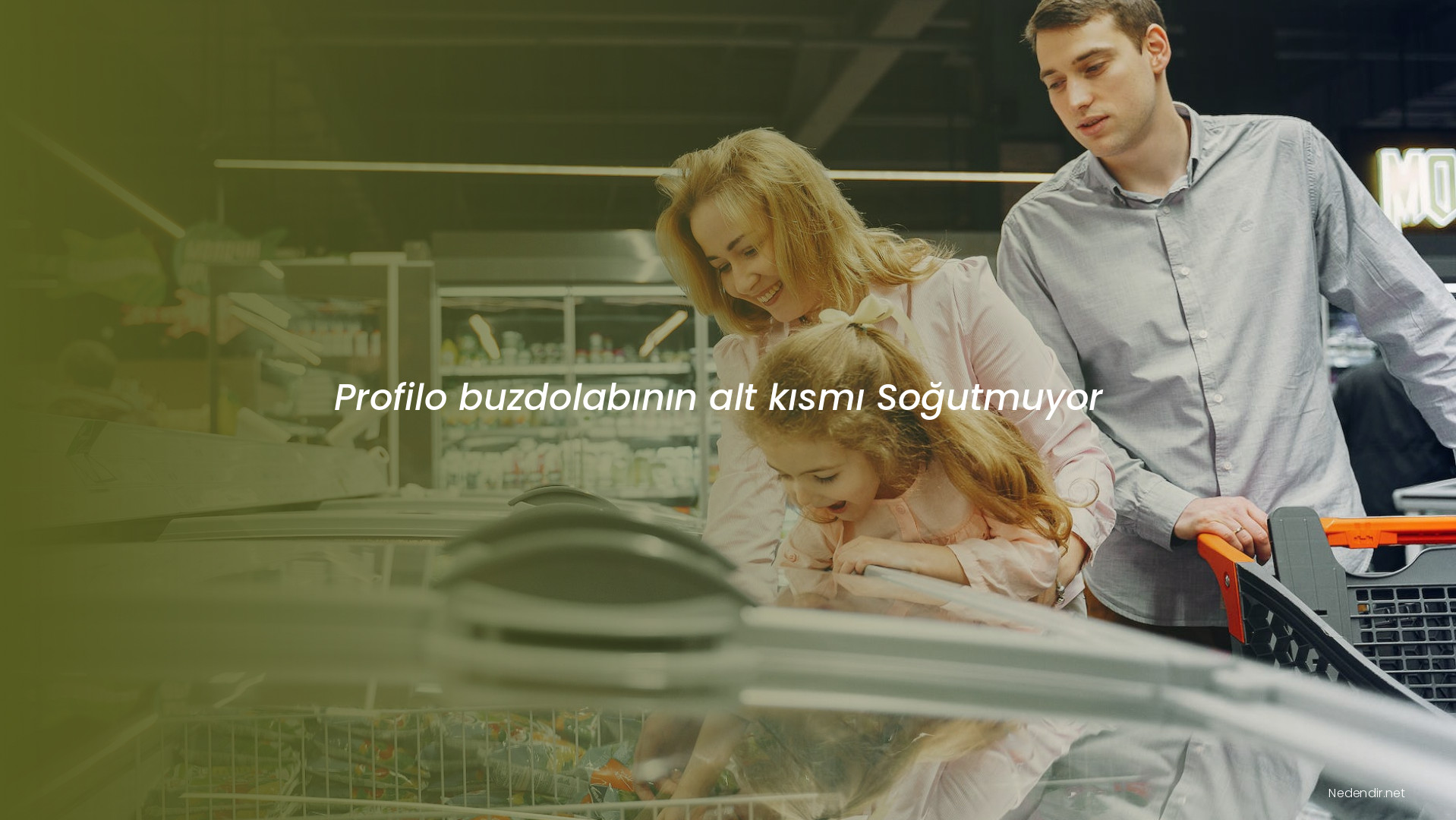 Profilo buzdolabının alt kısmı Soğutmuyor
