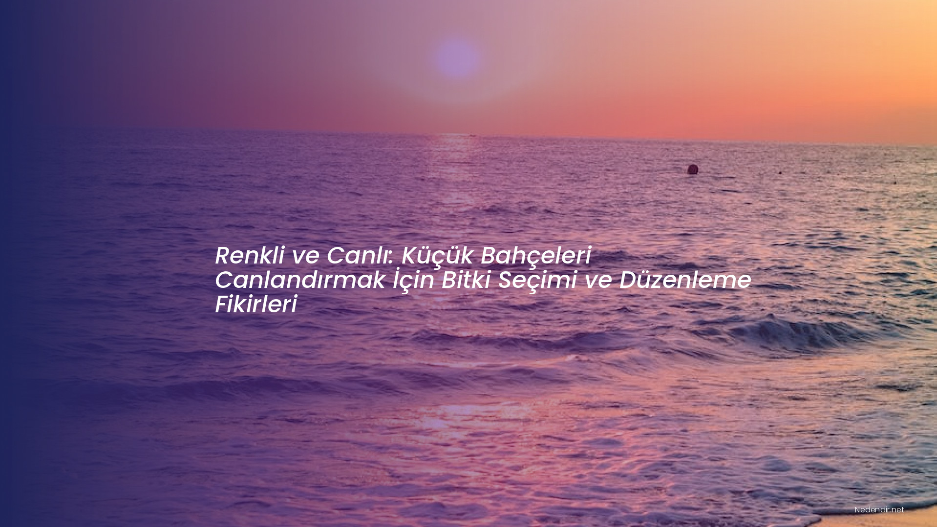 Renkli ve Canlı: Küçük Bahçeleri Canlandırmak İçin Bitki Seçimi ve Düzenleme Fikirleri
