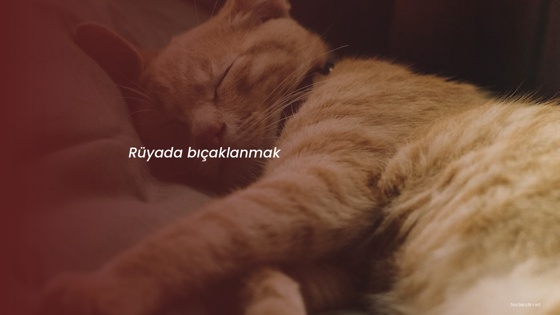 Rüyada bıçaklanmak