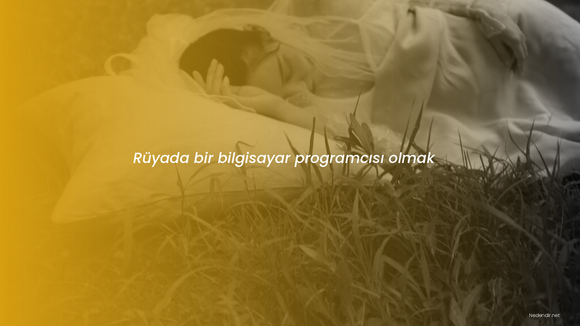 Rüyada bir bilgisayar programcısı olmak